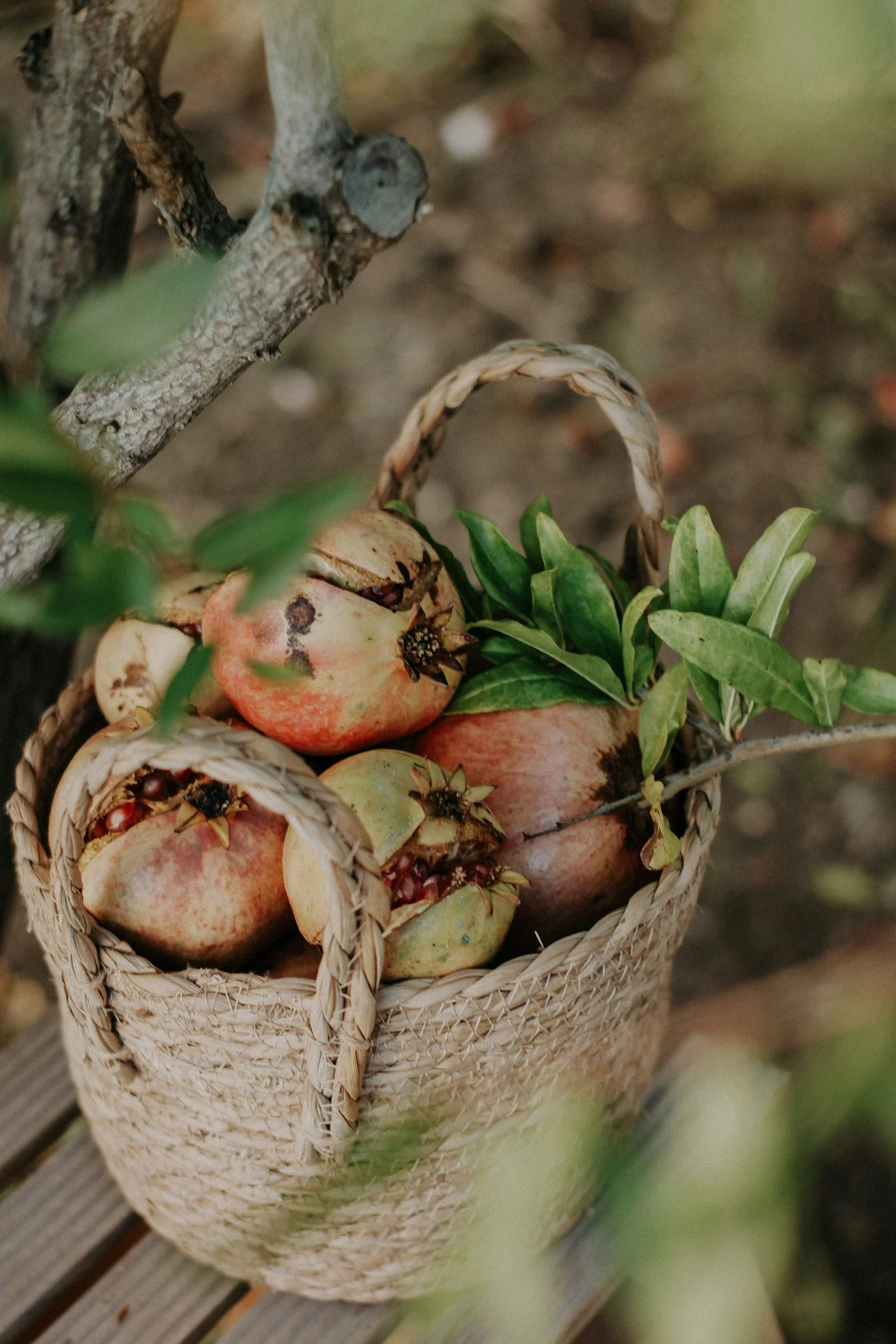 Biblical Health &amp; Healing Pt. 2