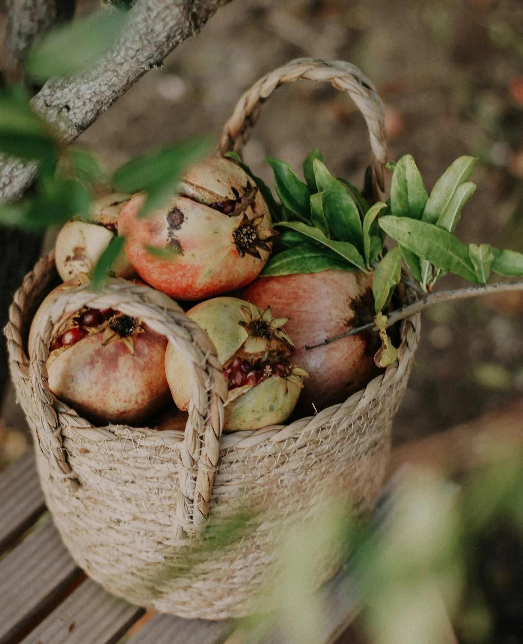 Biblical Health &amp; Healing Pt. 2
