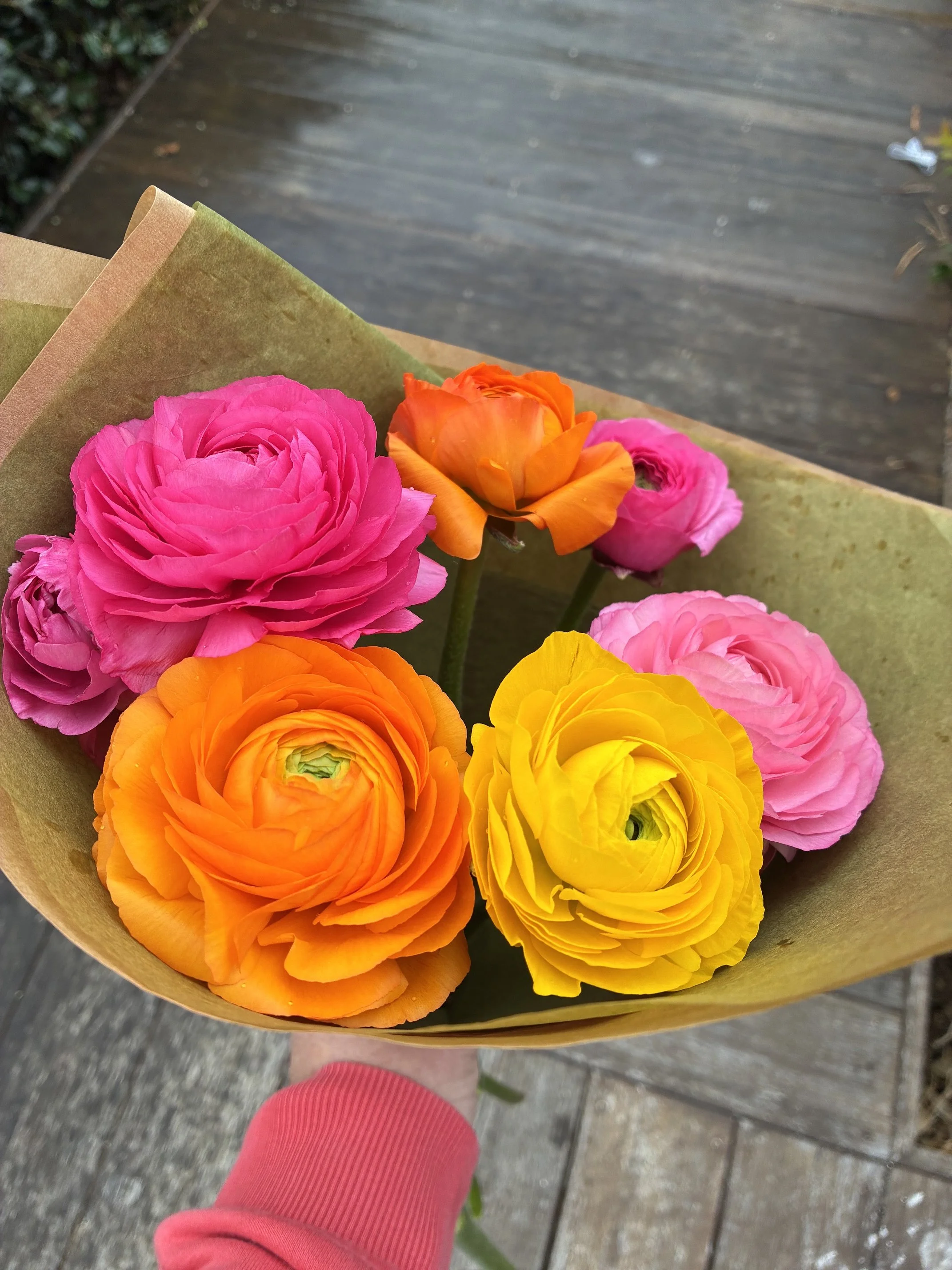 Ranunculus Bunch – Click & Collect