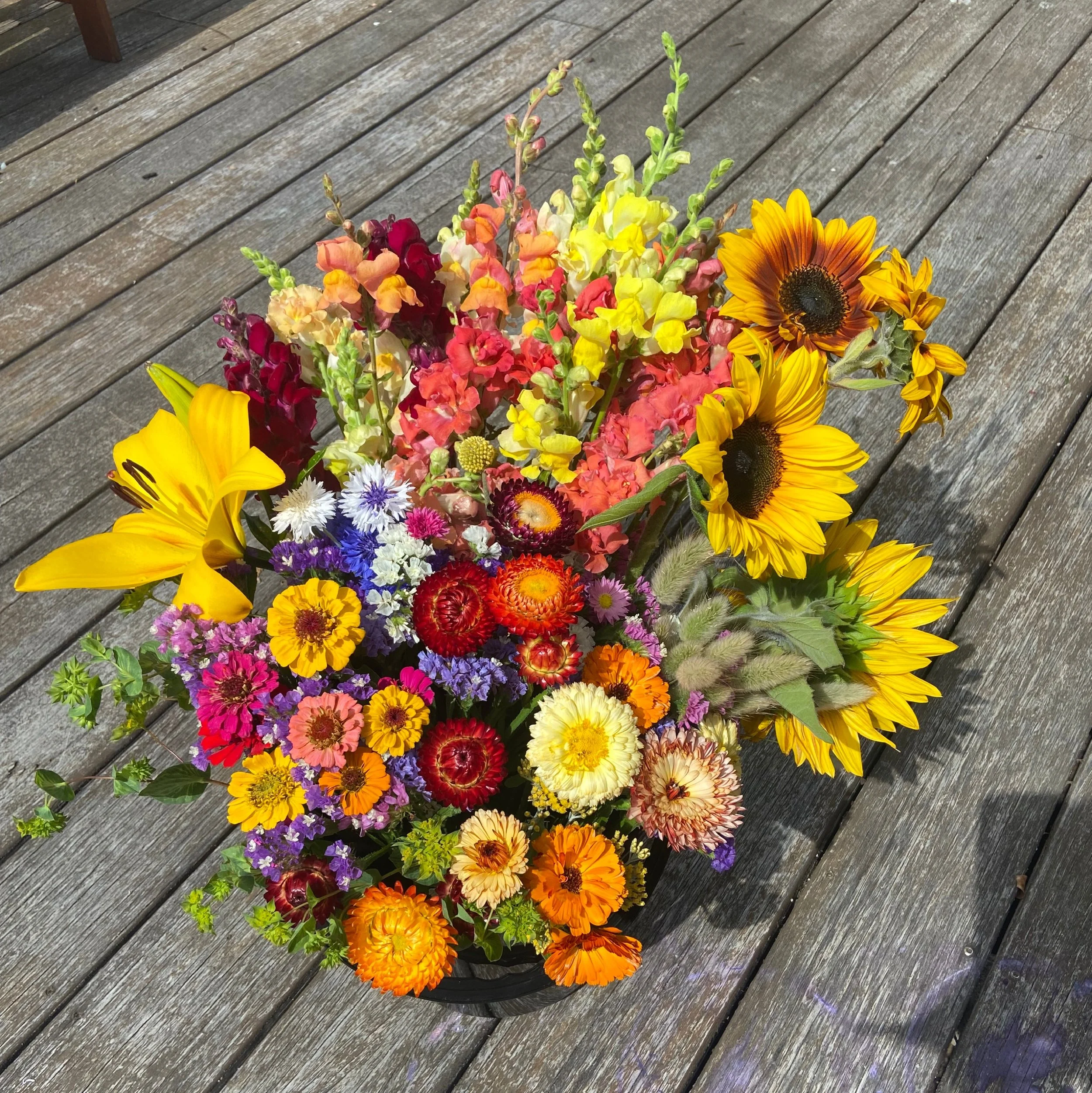 bulk bucket bright - resized square.JPG