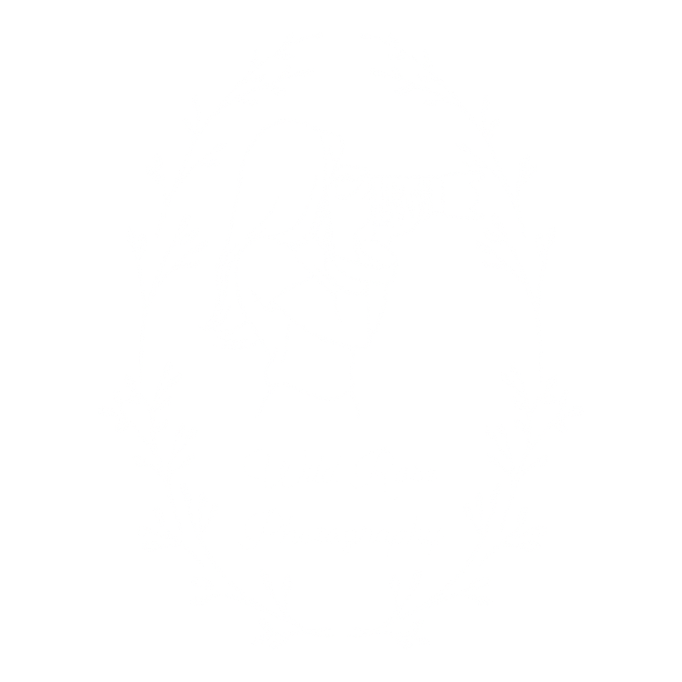 Wild Rose Photography