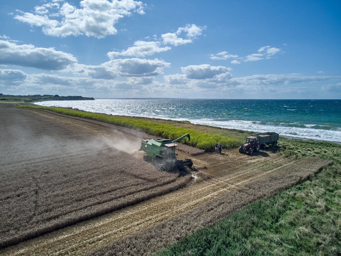 Ernte direkt am Blühstreifen