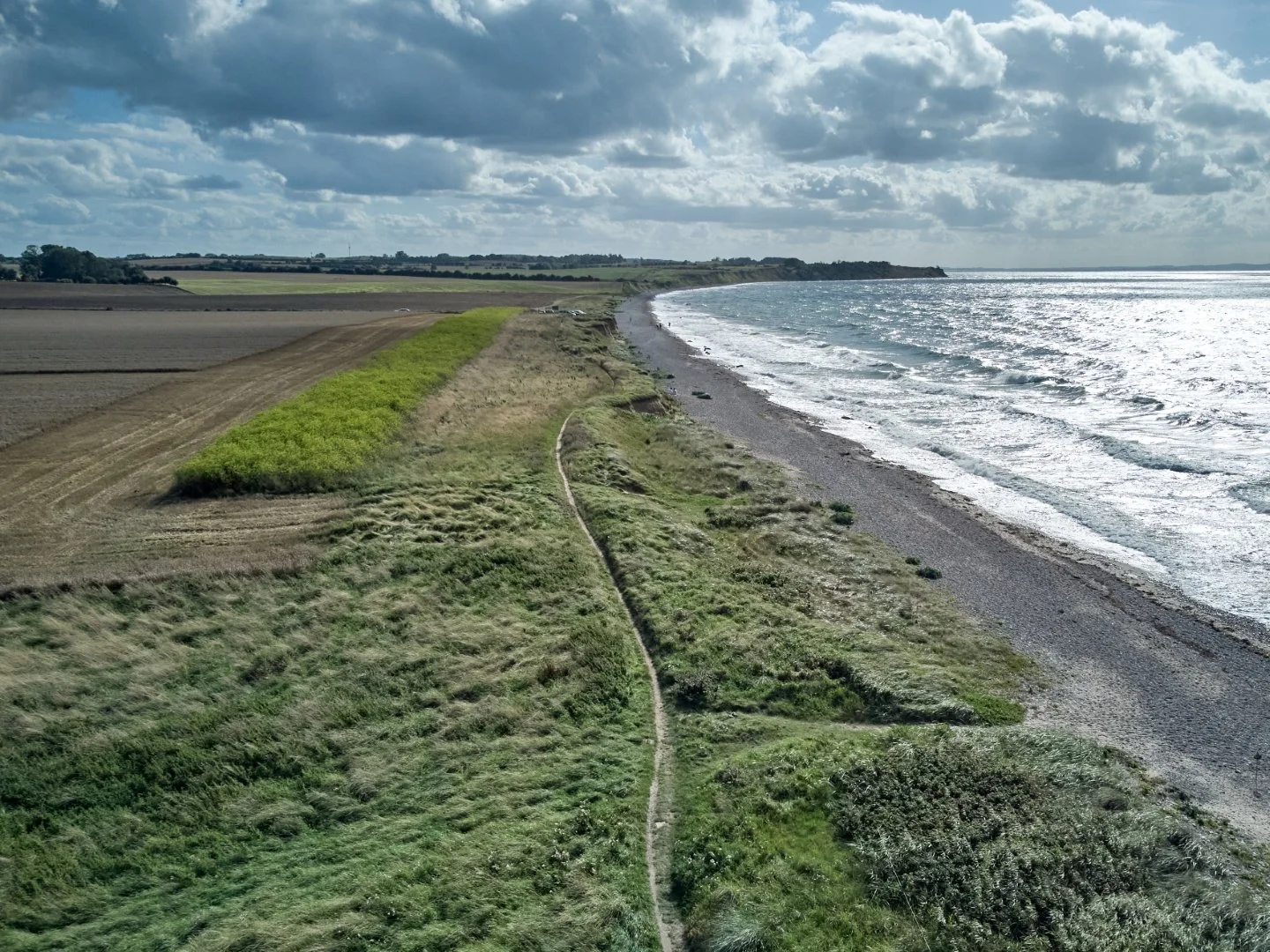 Blühstreifen nach der Ernte