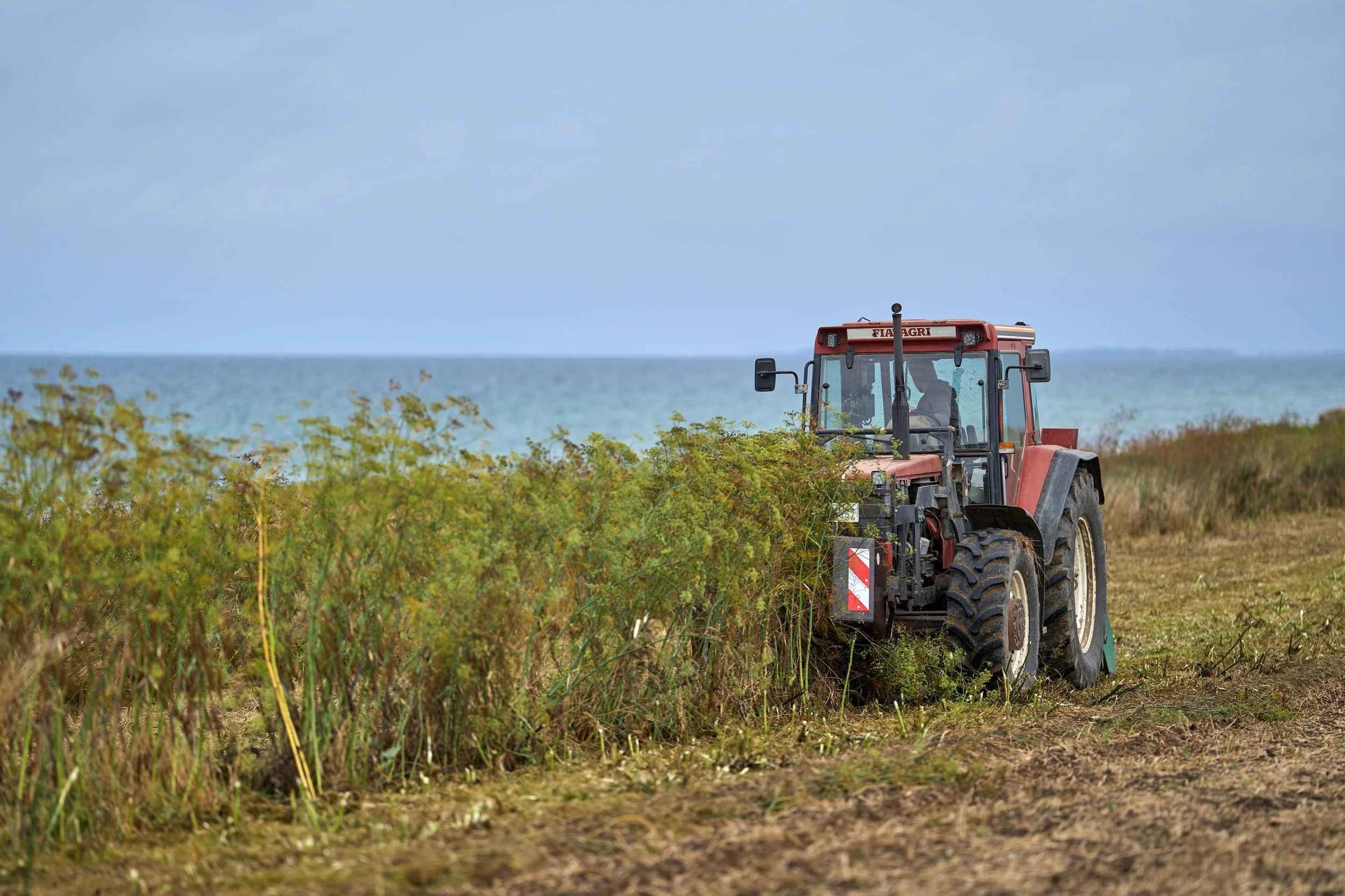 2025 - September: Große Veränderungen