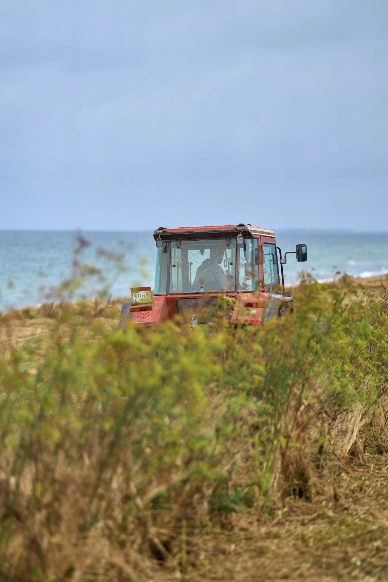 Trecker hinter Fenchel
