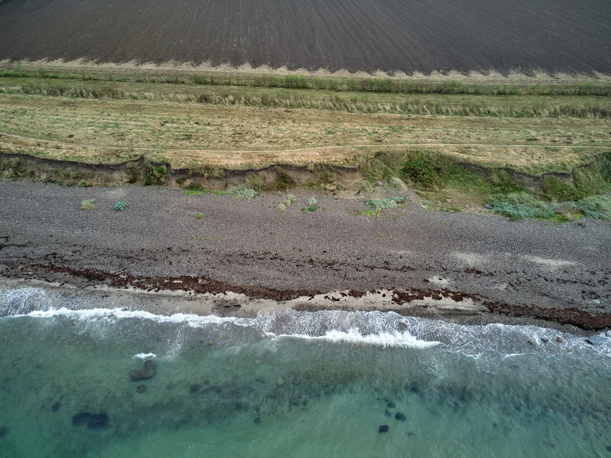 Luftbild des Blühstreifens