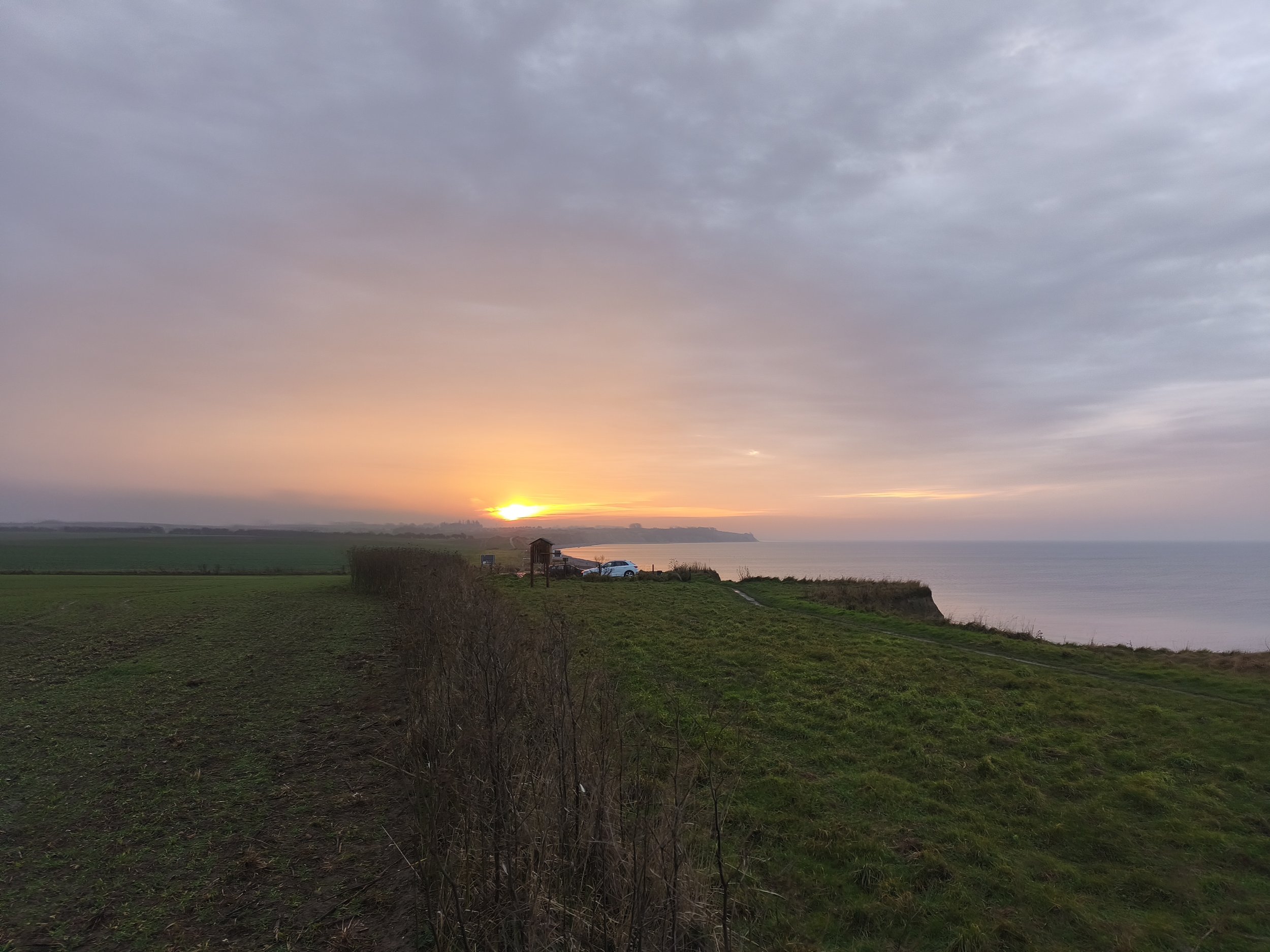 2025 - Oktober: Herbst im Blühstreifen