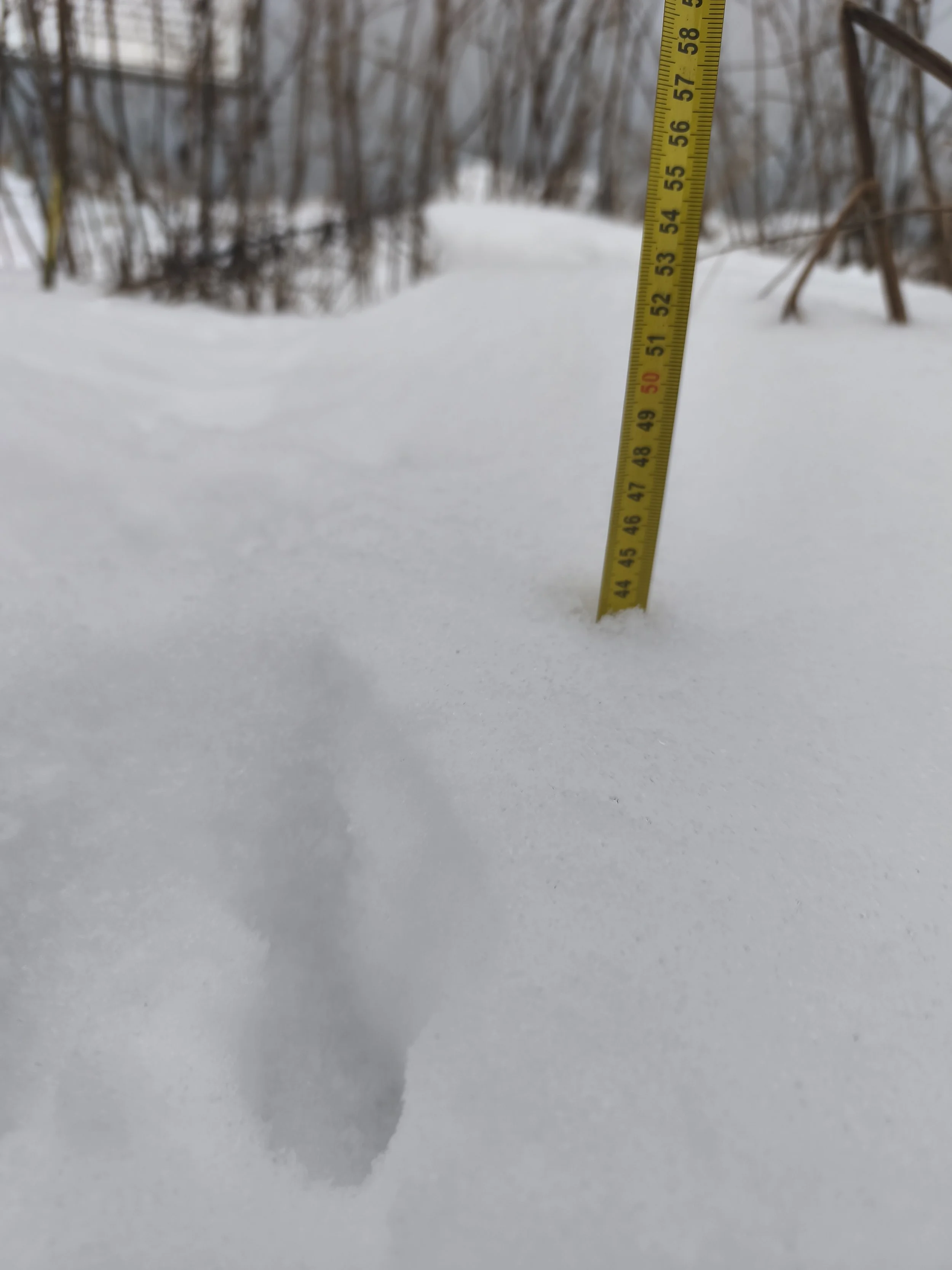 Fast 50cm hohe Schneewehen