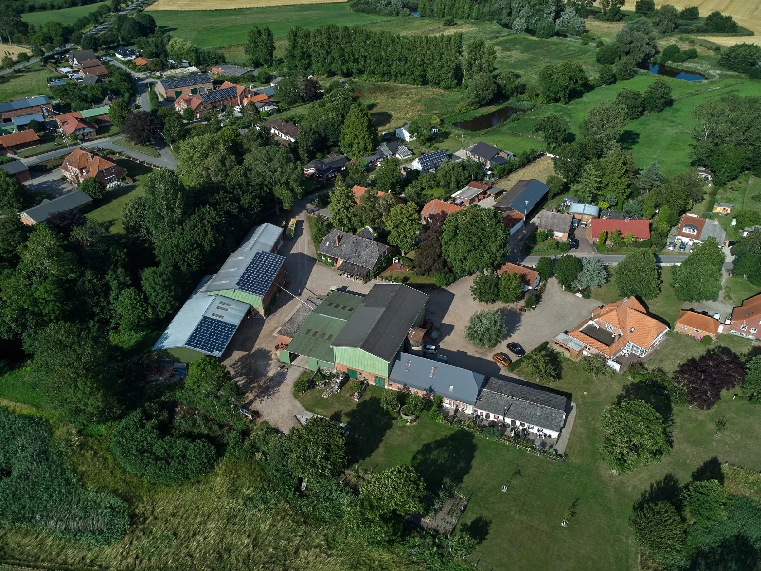 2026 - März: Die NDR-Dorfgeschichte in Dazendorf