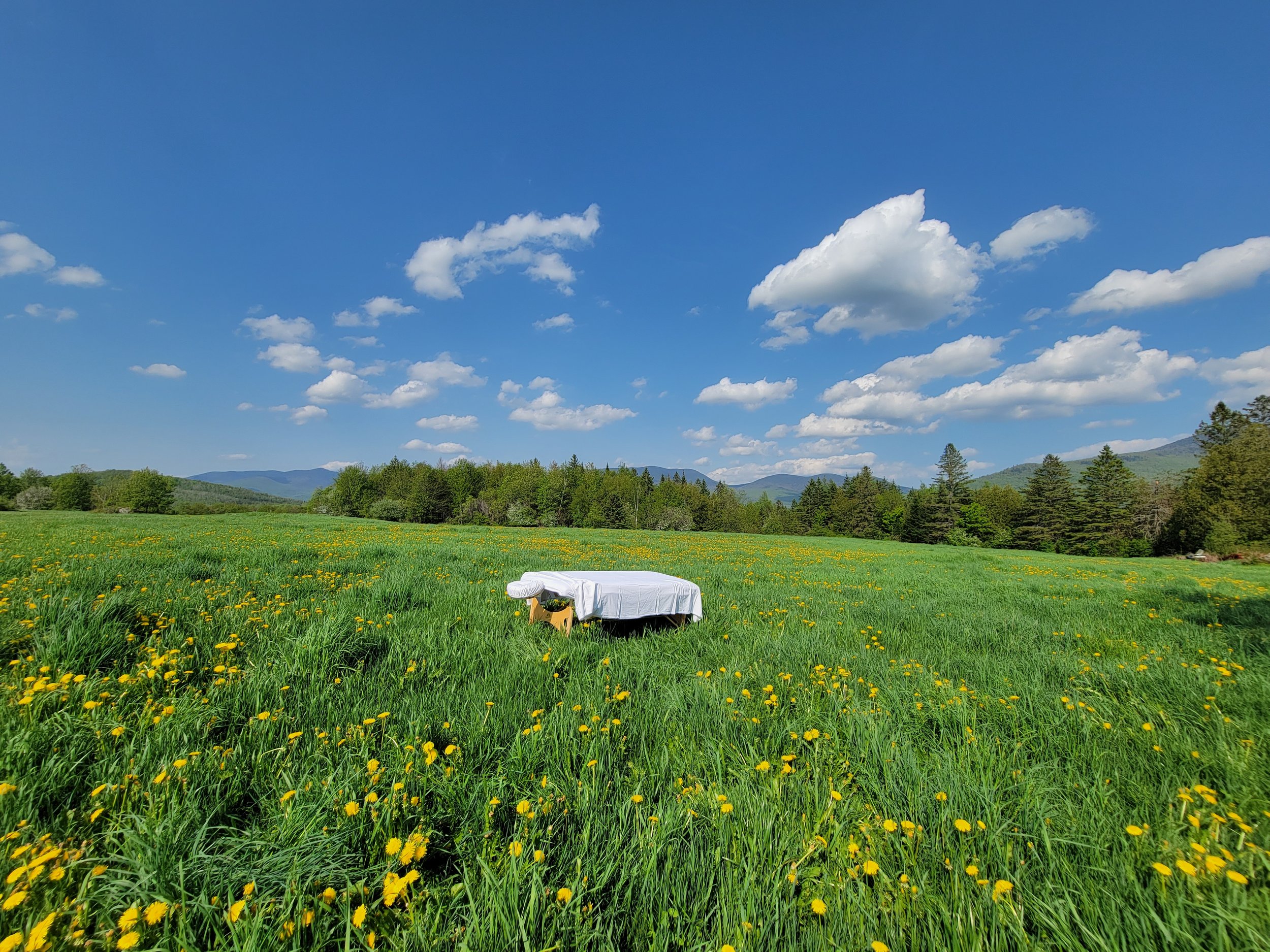 massage table in a field