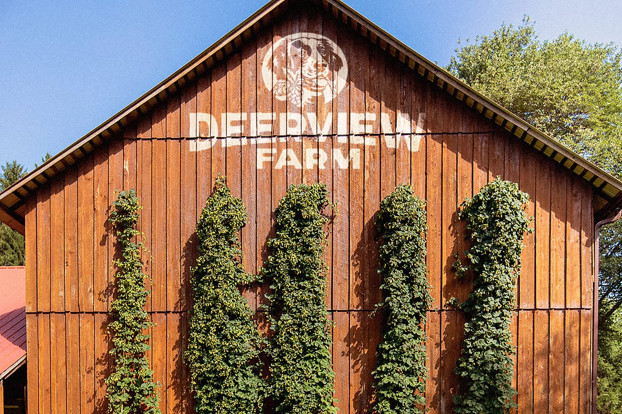 Wooden barn with a logo of a dog and text 'Deerview Farm' spray painted on the front, with bushes and trees around.