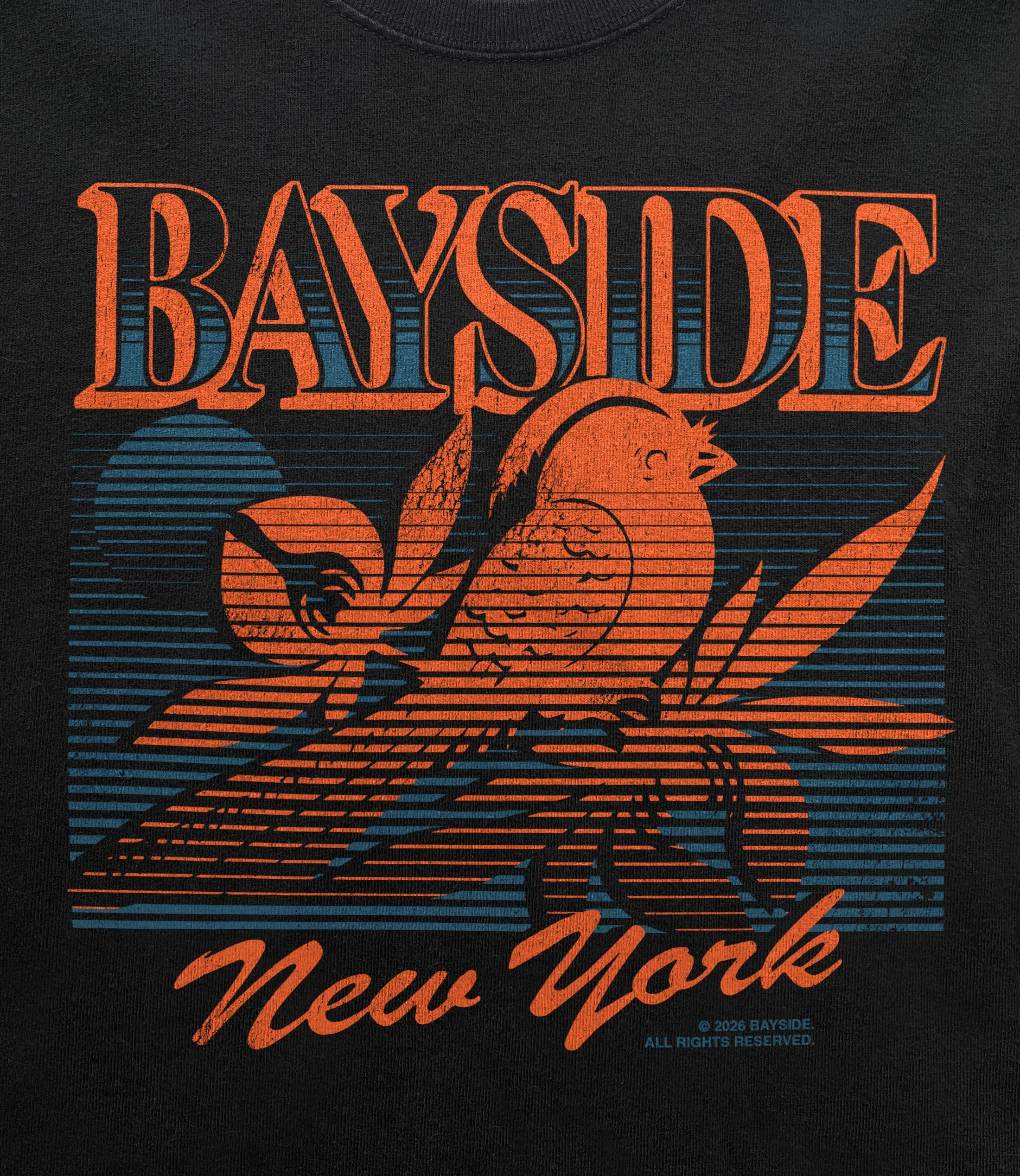 Graphic Design - Branding - Illustration | Bayside Merchandise by Souvenir Design Studio - Philadelphia, PA - Artist - Band - Merch