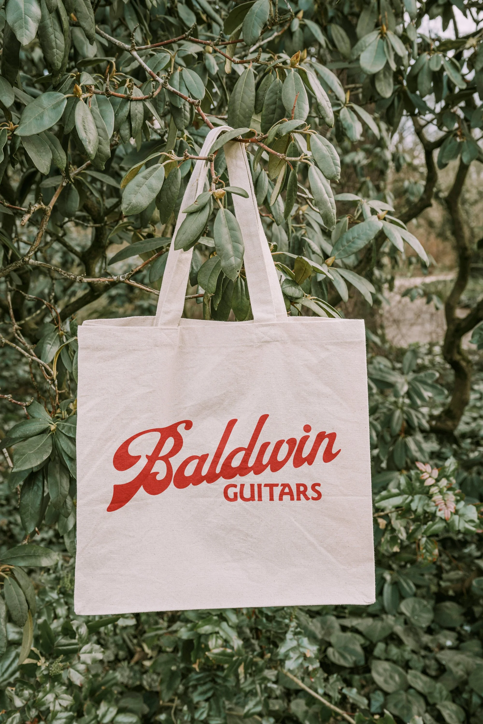 Graphic Design - Branding - Illustration - for Small Business - Music | by Souvenir Design Studio - Philadelphia, PA