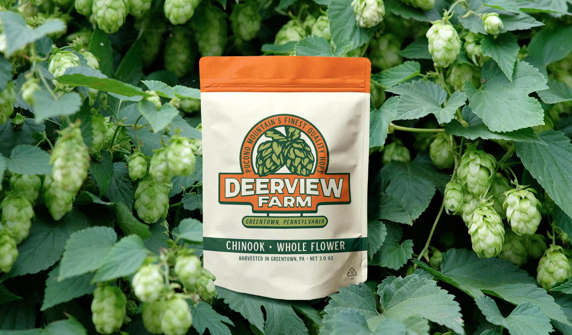 Graphic Design - Branding - Illustration - Services - for Restaurants - Breweries - Hospitality | by Souvenir Design Studio - Philadelphia, PA