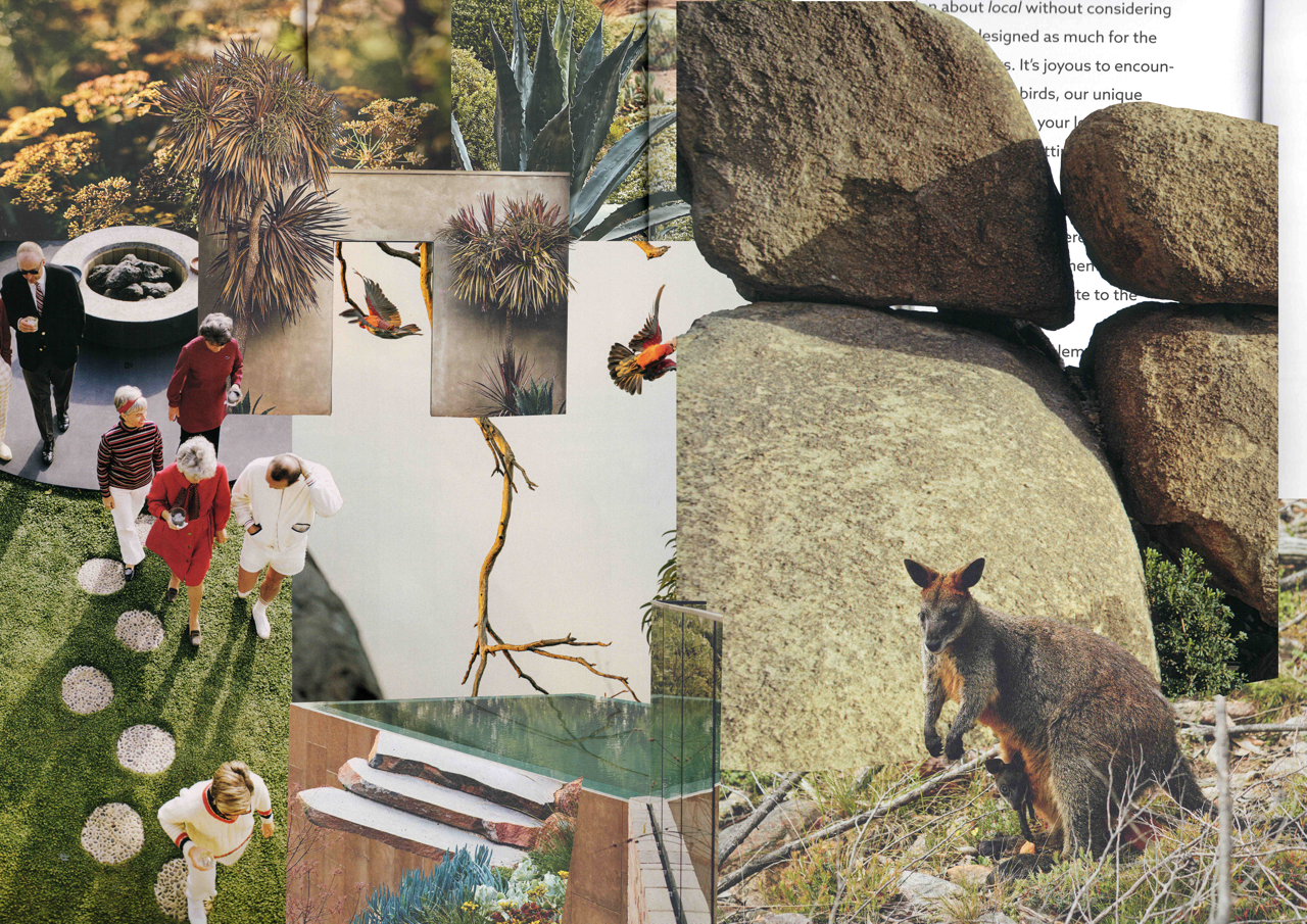 A collage featuring people walking outdoors, large rocks, various plants and cacti, birds in flight, and a kangaroo.