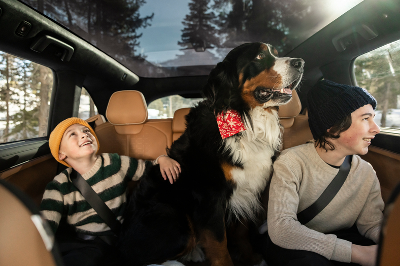 Screenshot 2026-01-29 at 11.42.08 AM.png