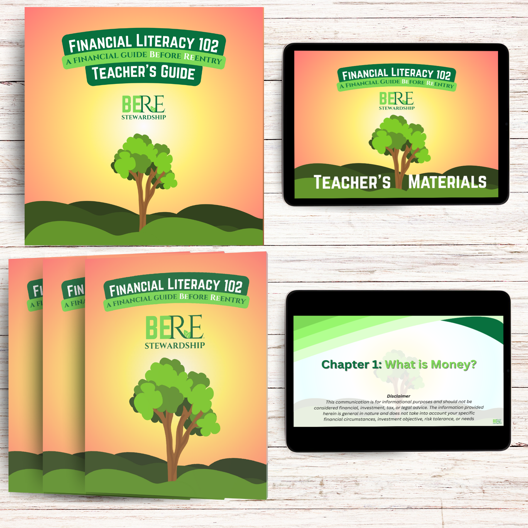 Financial Literacy 102 Classroom Set