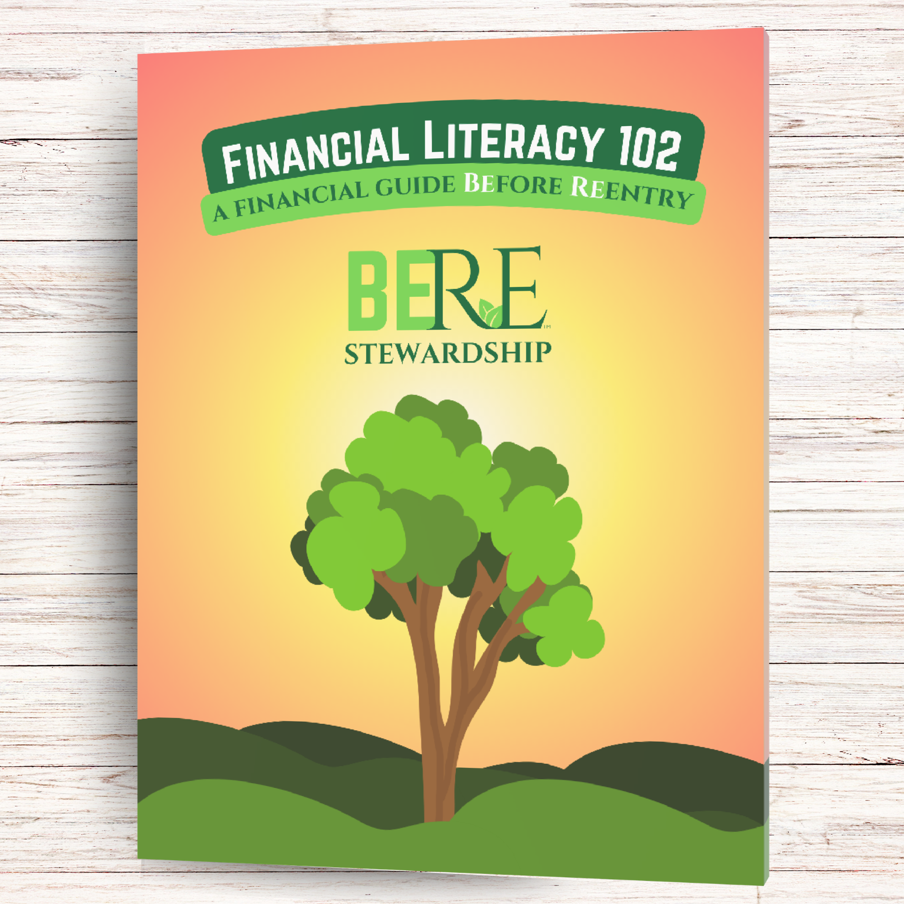 Financial Literacy 102: A Financial Guide Before Reentry