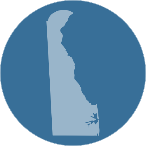 Silhouette of the state of Florida with a gecko at the bottom right corner.