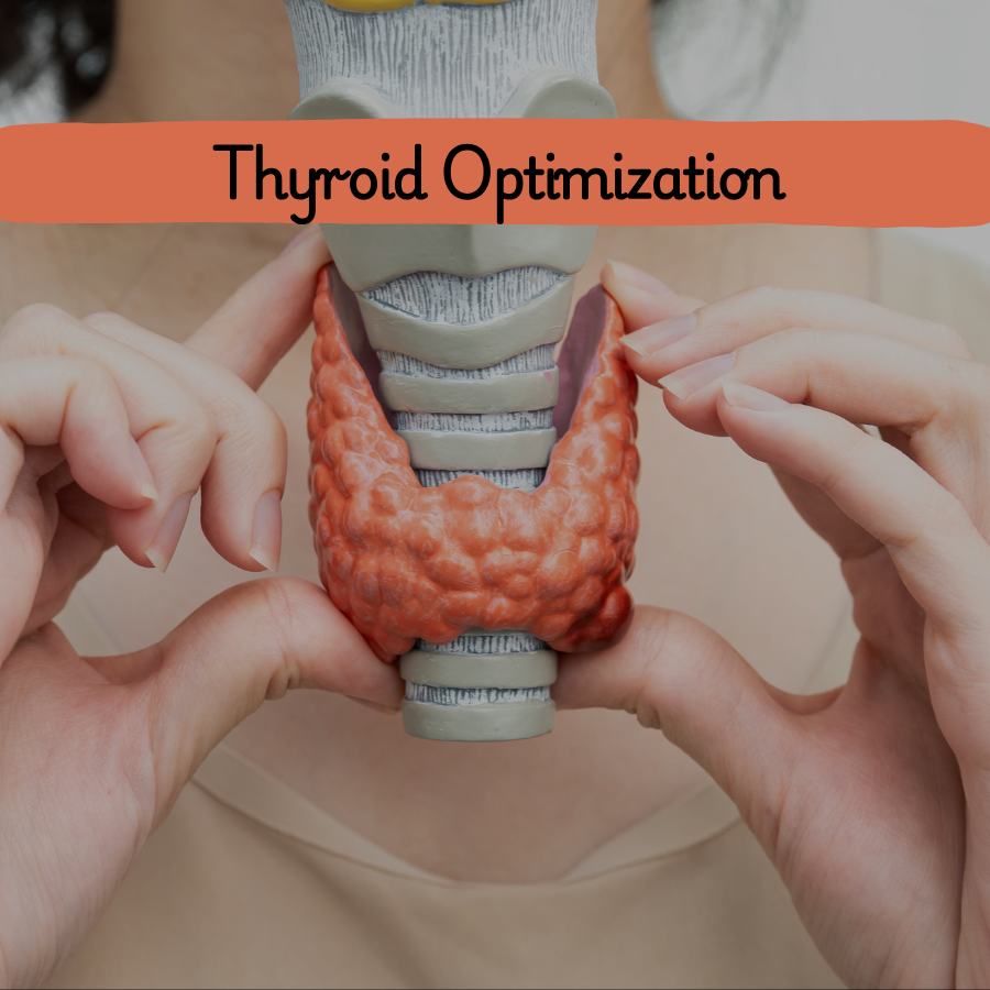 Thyroid Optimization
