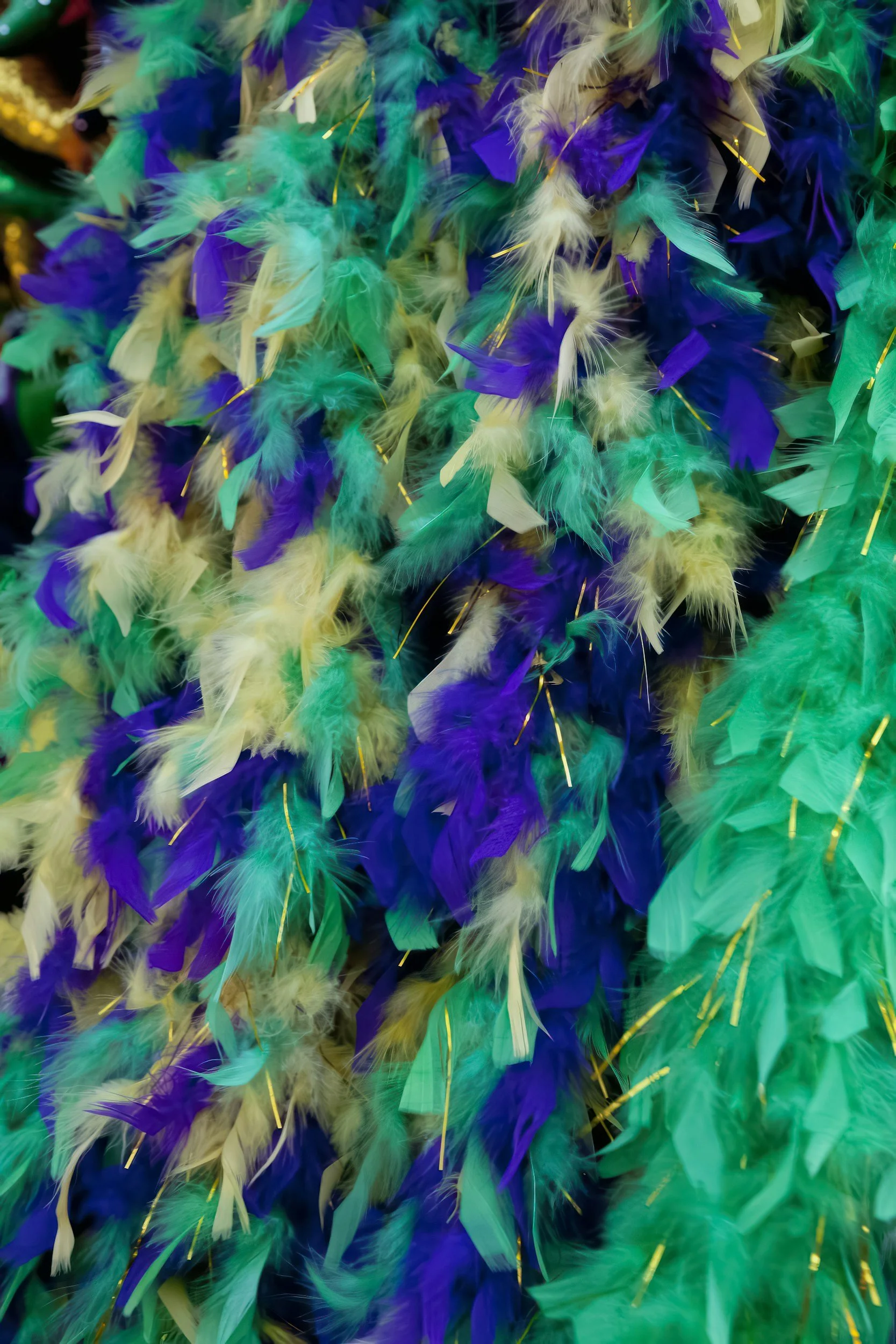 VIRTUAL CLASSES - Mardi Gras