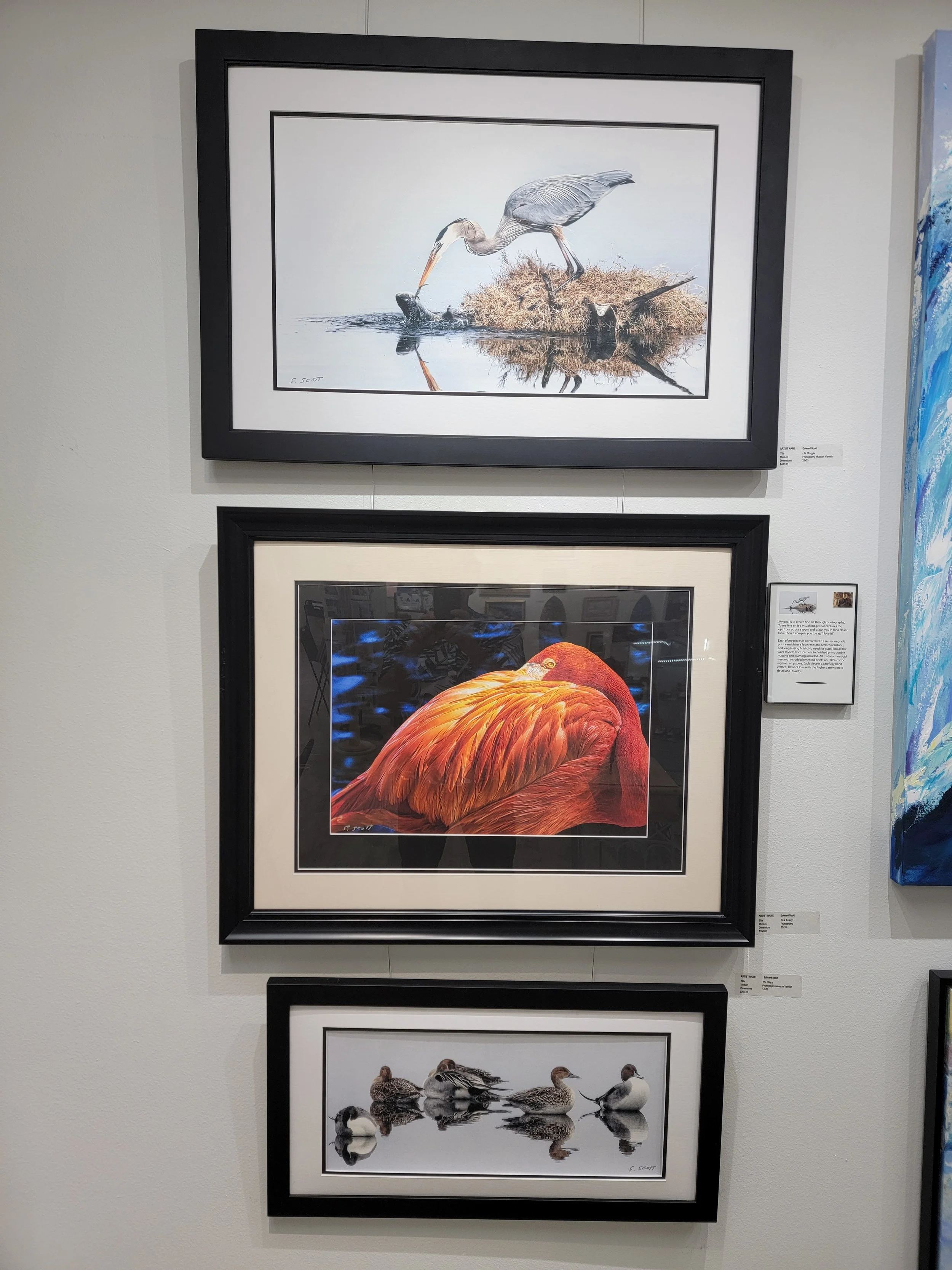 The Village Art Gallery Home %i | Explore Local Art