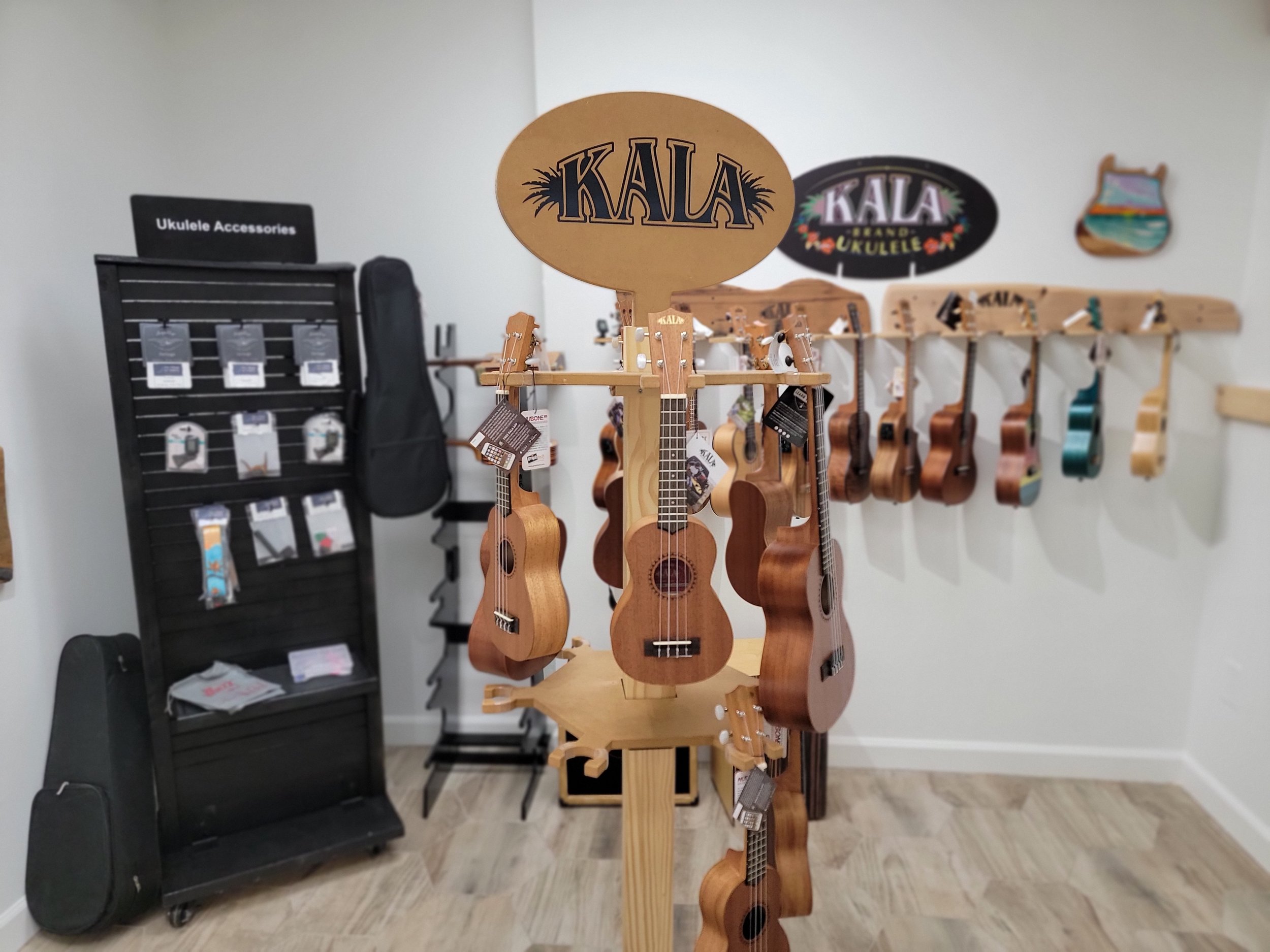 Ukulele Accessories