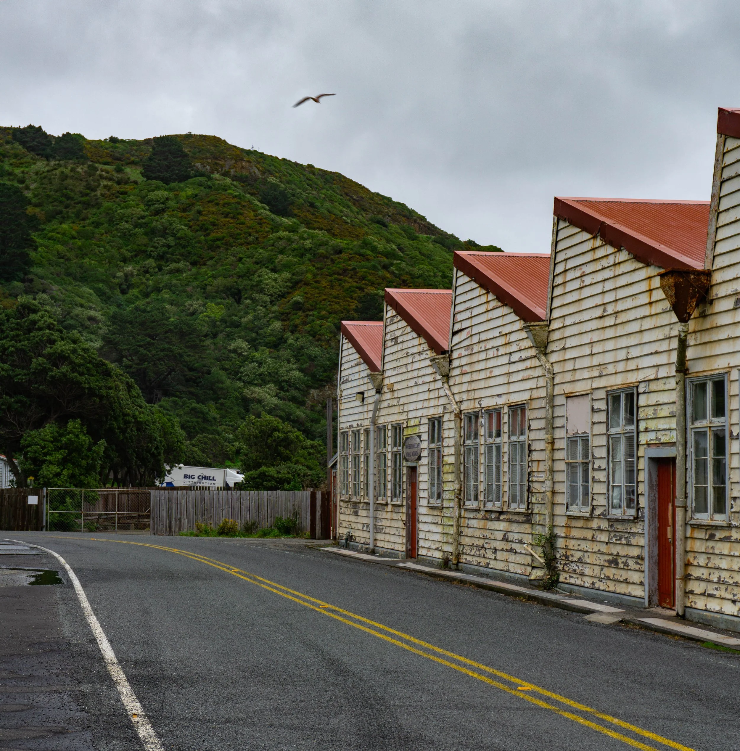 DSC08744-2.jpg