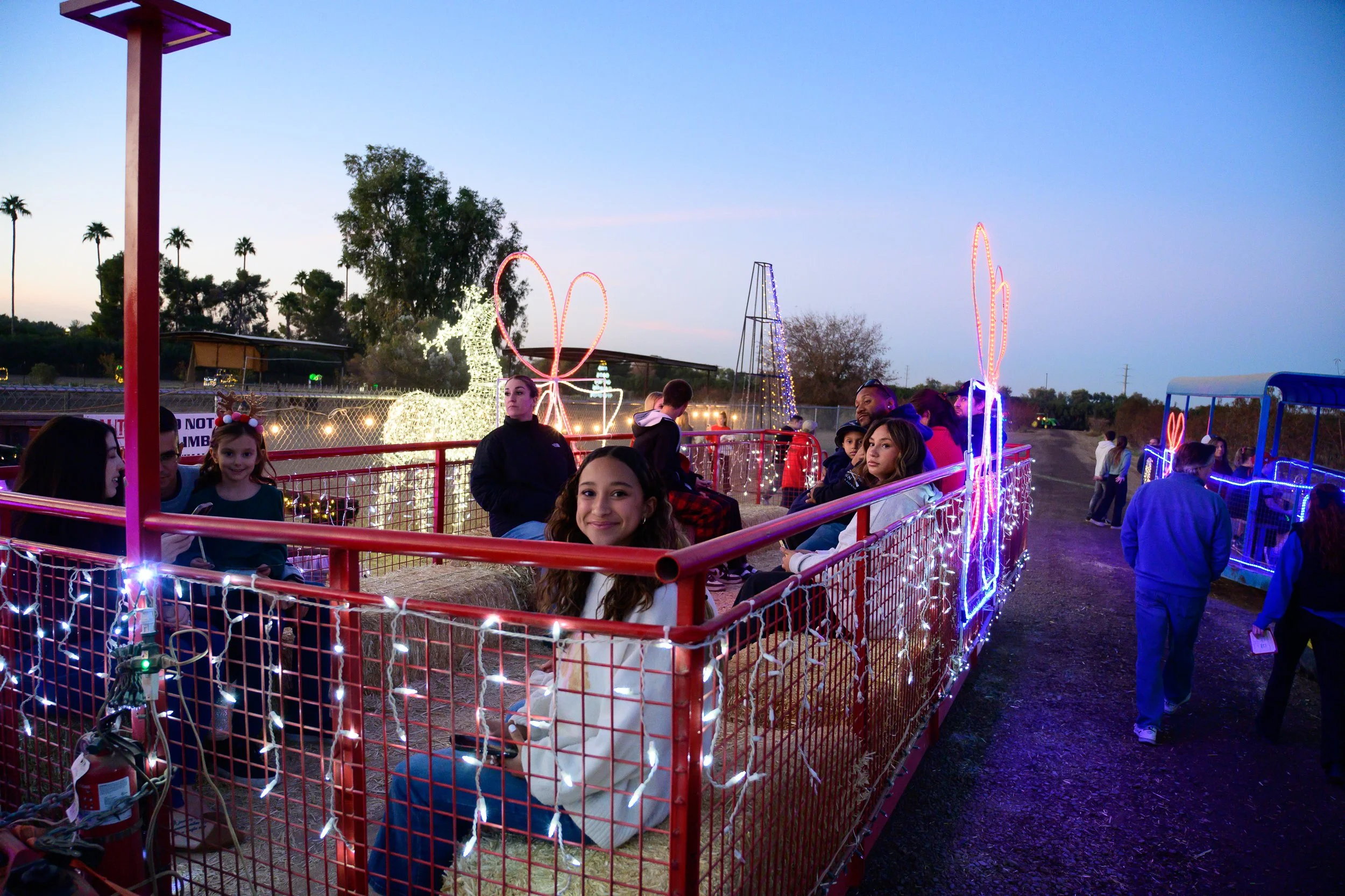 VISITS TO SANTA’S DEER