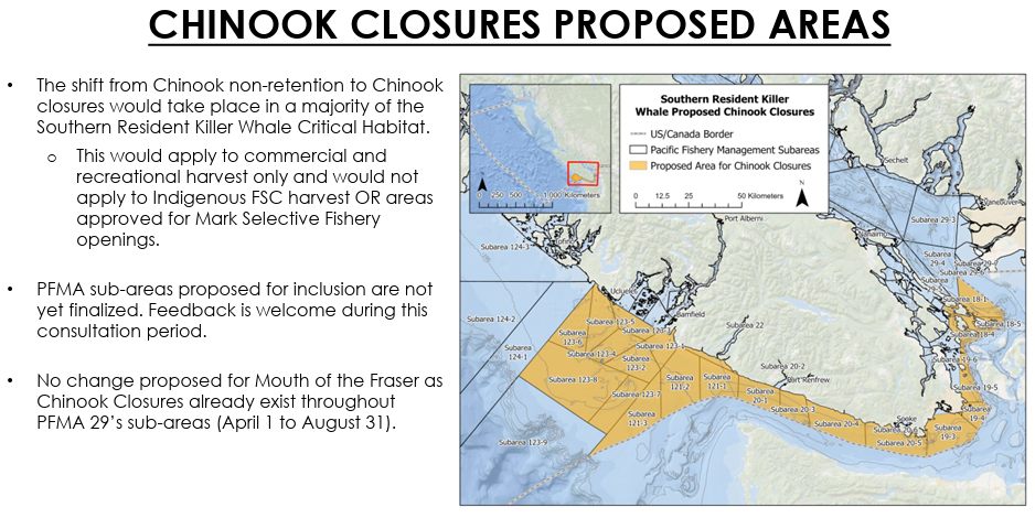 OPINION: Outdated Data, Unintended Damage — Ottawa’s Fishery Closures Miss the Mark for All of BC