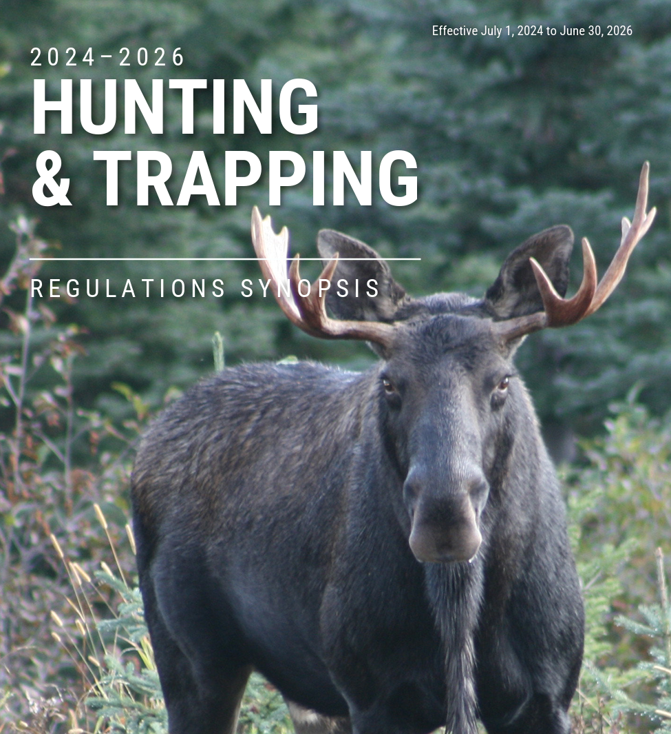 Consultation or Confirmation? Why BC’s 2026–28 Hunting Regulations Deserve Closer Scrutiny