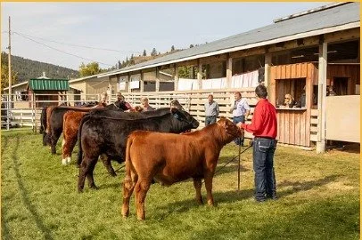 There&rsquo;s a lot happening across Boundary&ndash;Similkameen this weekend!

One of my favourite parts of representing this riding is getting out into our communities, and this weekend certainly offers plenty of opportunities to do just that.

On S