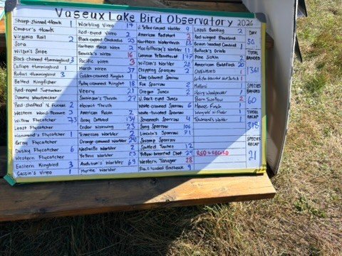 Ever driven past Vaseux Lake and wondered what&rsquo;s happening at the bird banding station? 🐦

I recently had the chance to stop in and see the work at the Vaseux Lake Bird Observatory up close.

Each fall, migrating birds are monitored through ba