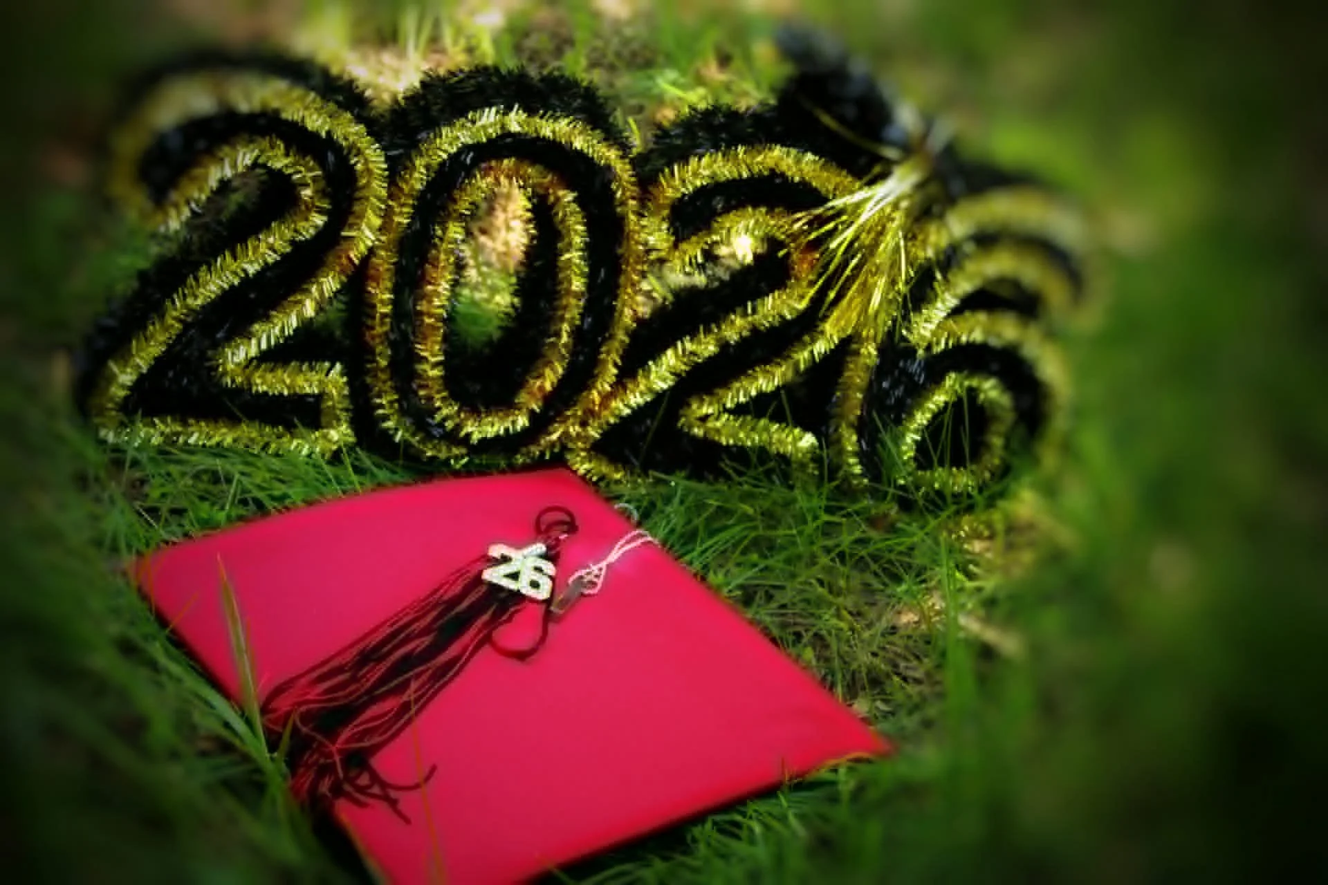 24d6411e-fad8-448b-a957-5f82642625cc.jpg