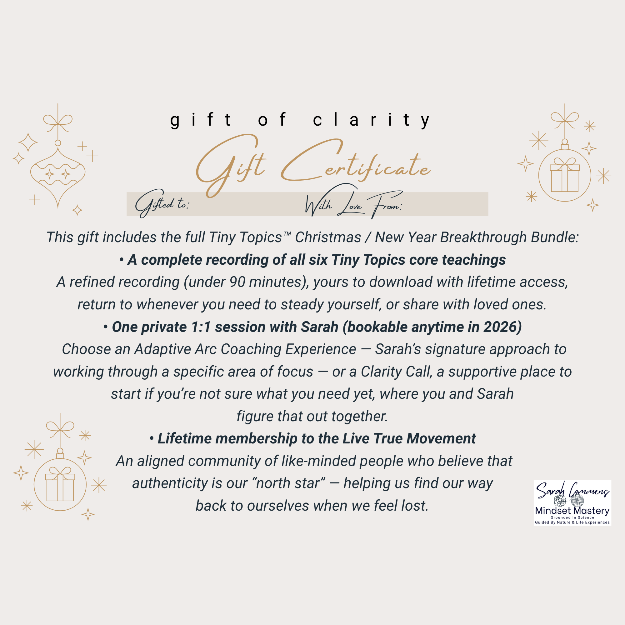 Tiny Topics™ Christmas / New Year Breakthrough Bundle - "Bundle for Two" - Special seasonal price (available until 31 January 2026)