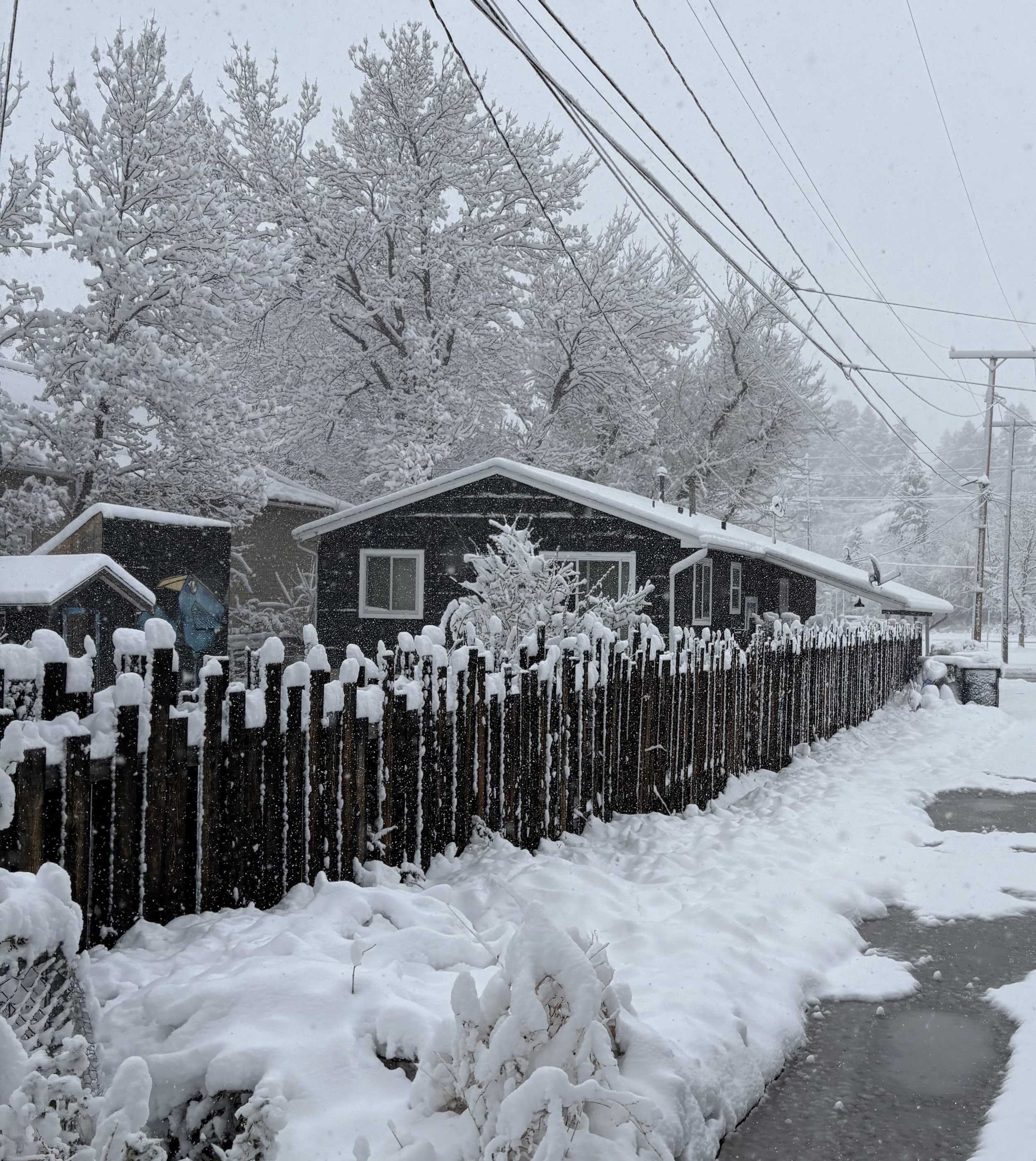 Why Bozeman? The Shabby Sheek Origin Story…
