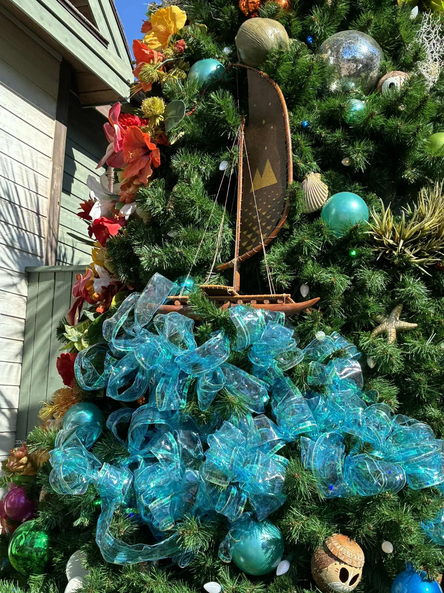 tree stroll moana 1.jpg