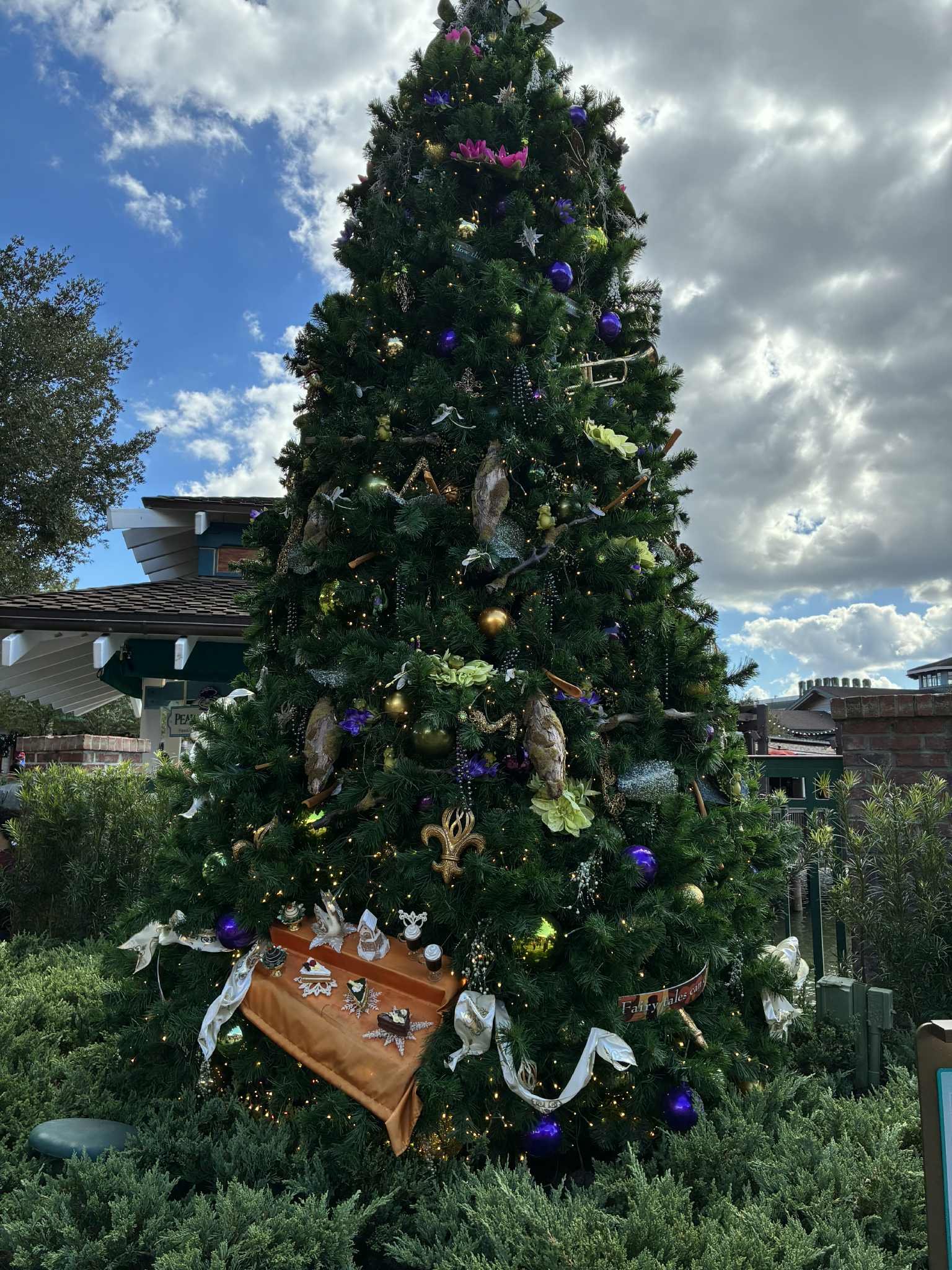 tree stroll tiana 2.jpg