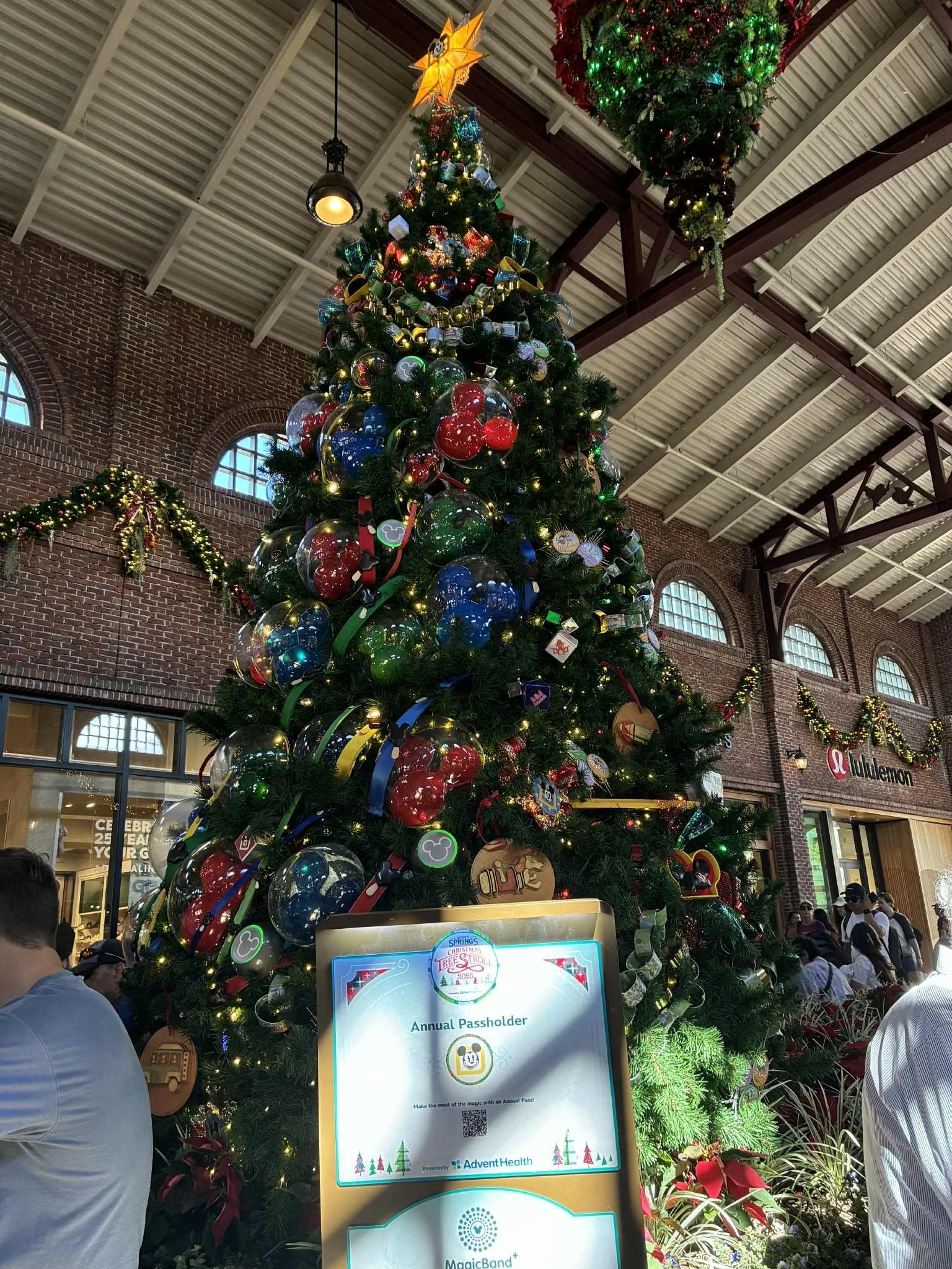 tree stroll annual pass 2.jpg