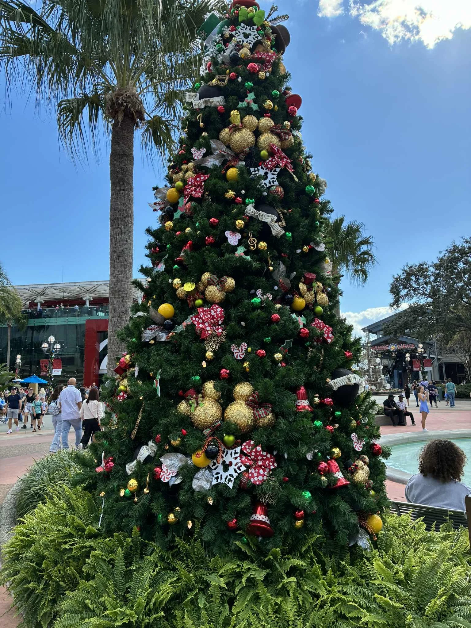 tree stroll mickey and minnie 1.jpg