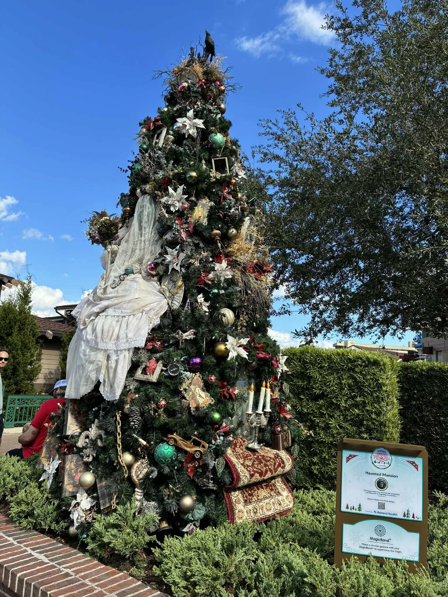 tree stroll haunted mansion 1.jpg