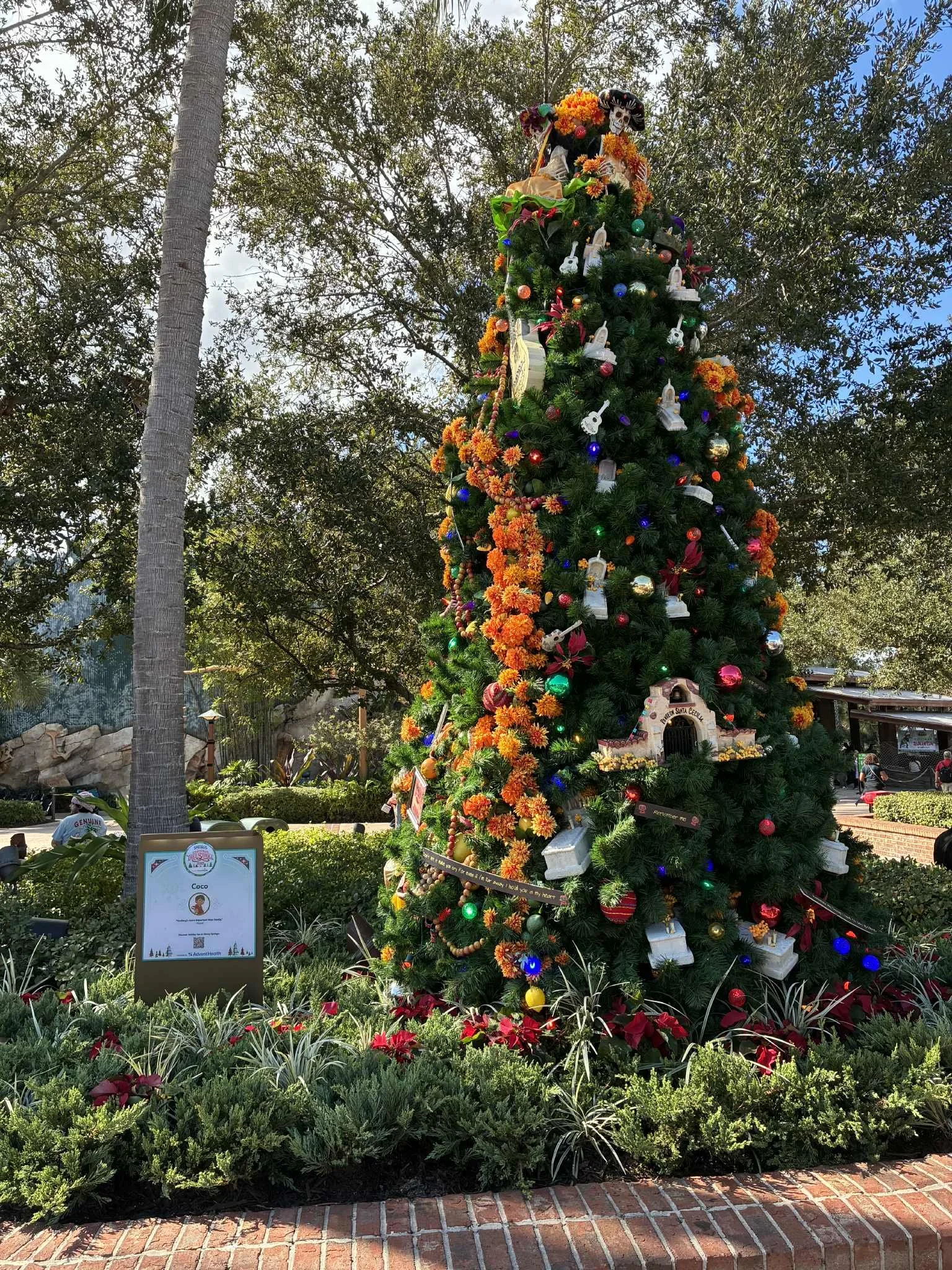 tree stroll coco.jpg