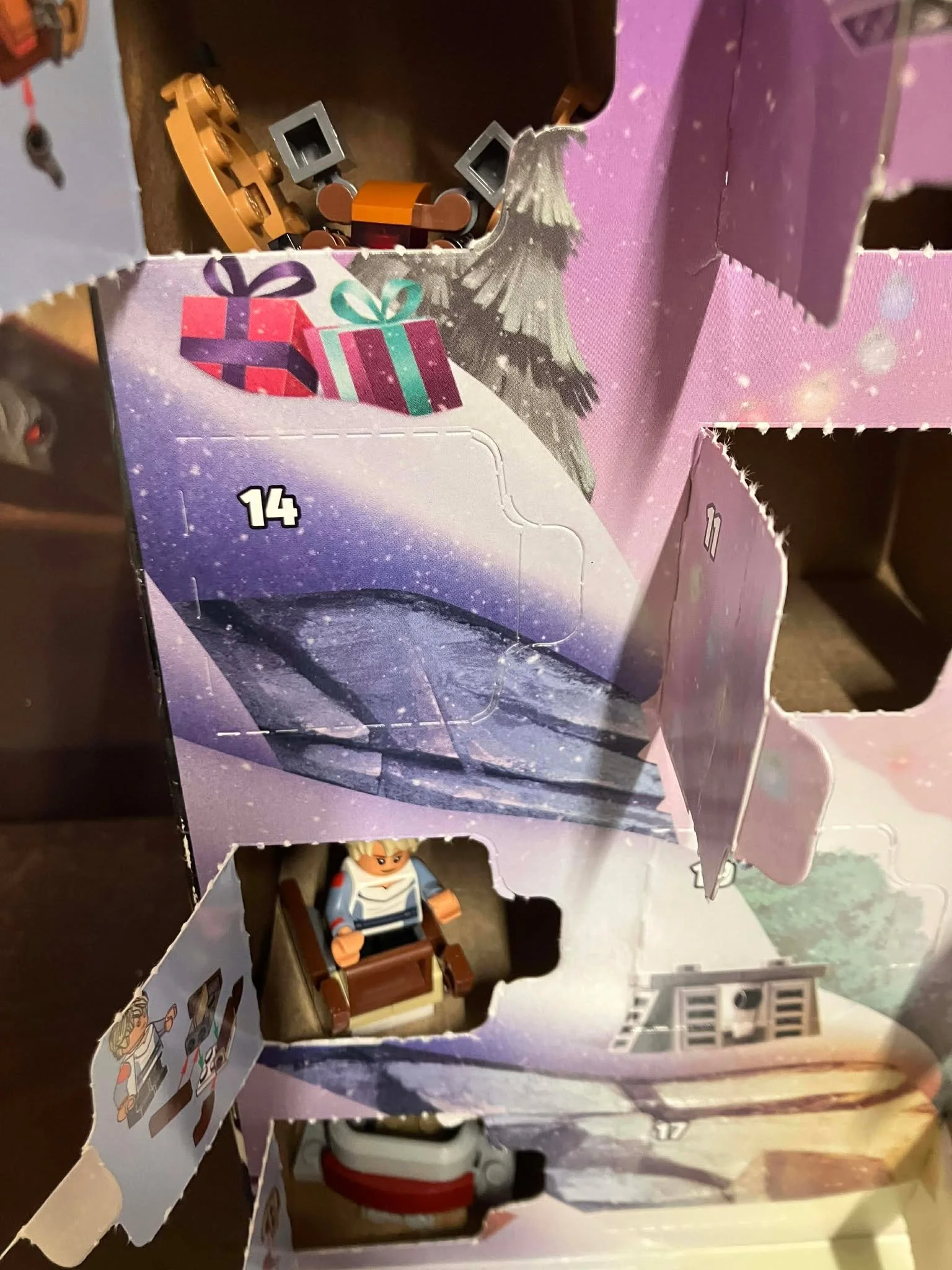 day 14 a.jpg