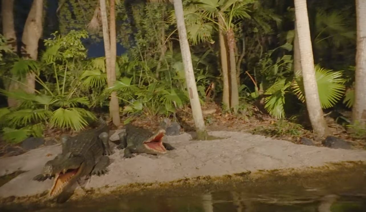 jungle cruise gators.JPG