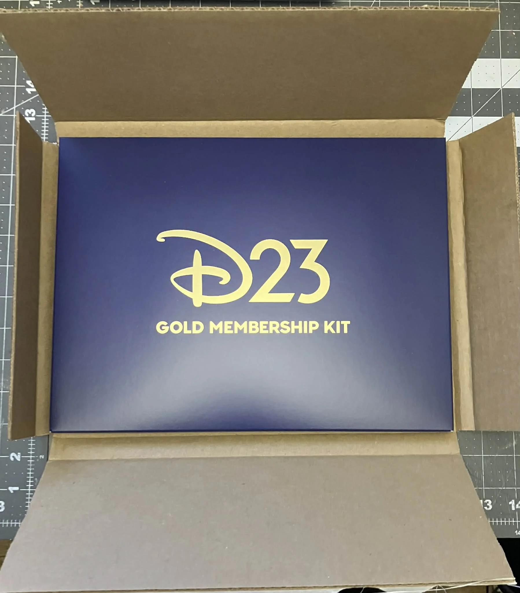 Is the D23 Gold Membership Worth the Cash?