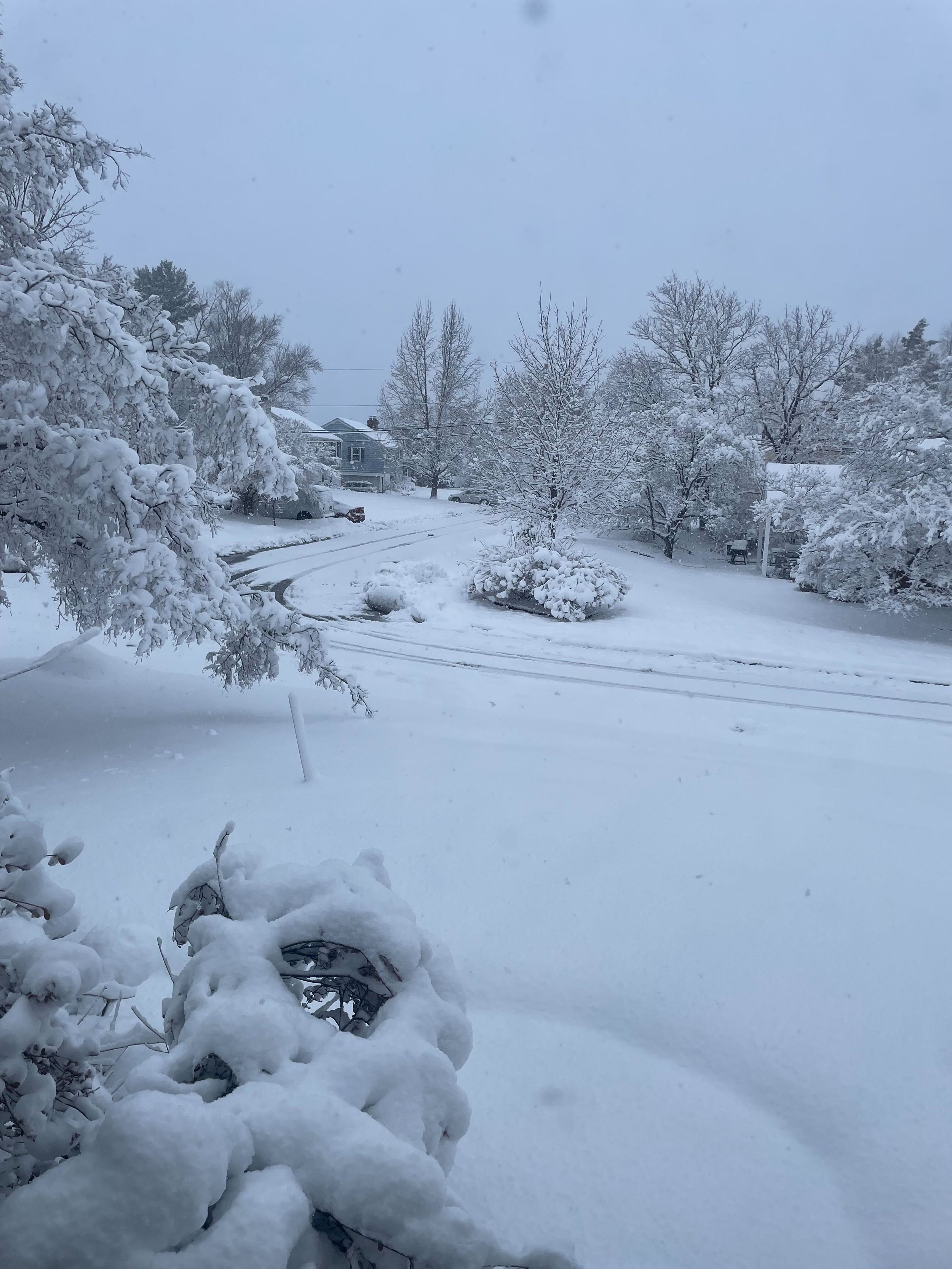 Shoveling My Way to the Magic: A Disney Nerd’s Winter Daydream