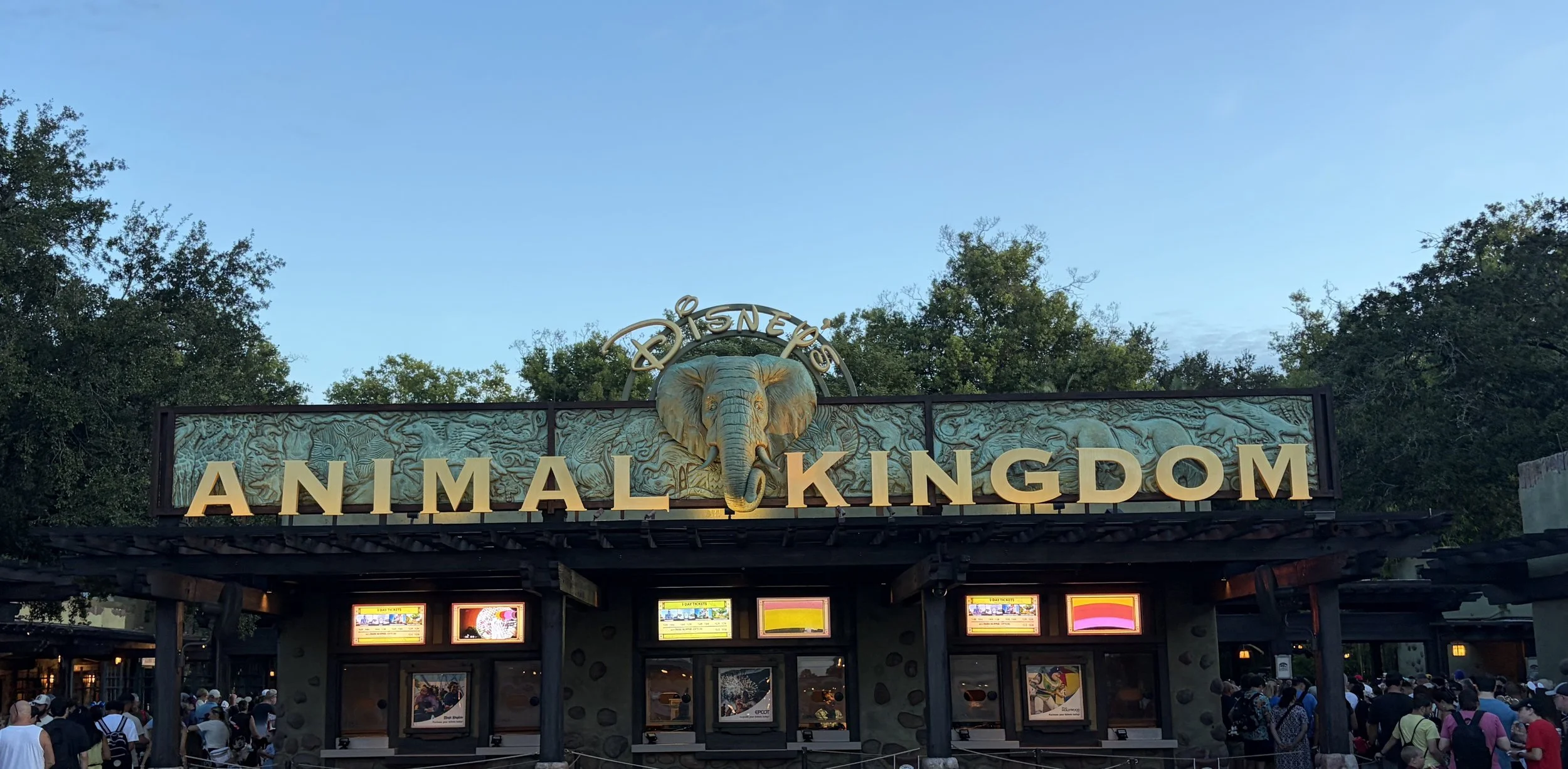 The Disney Attractions We Appreciate More as Adults: Animal Kingdom