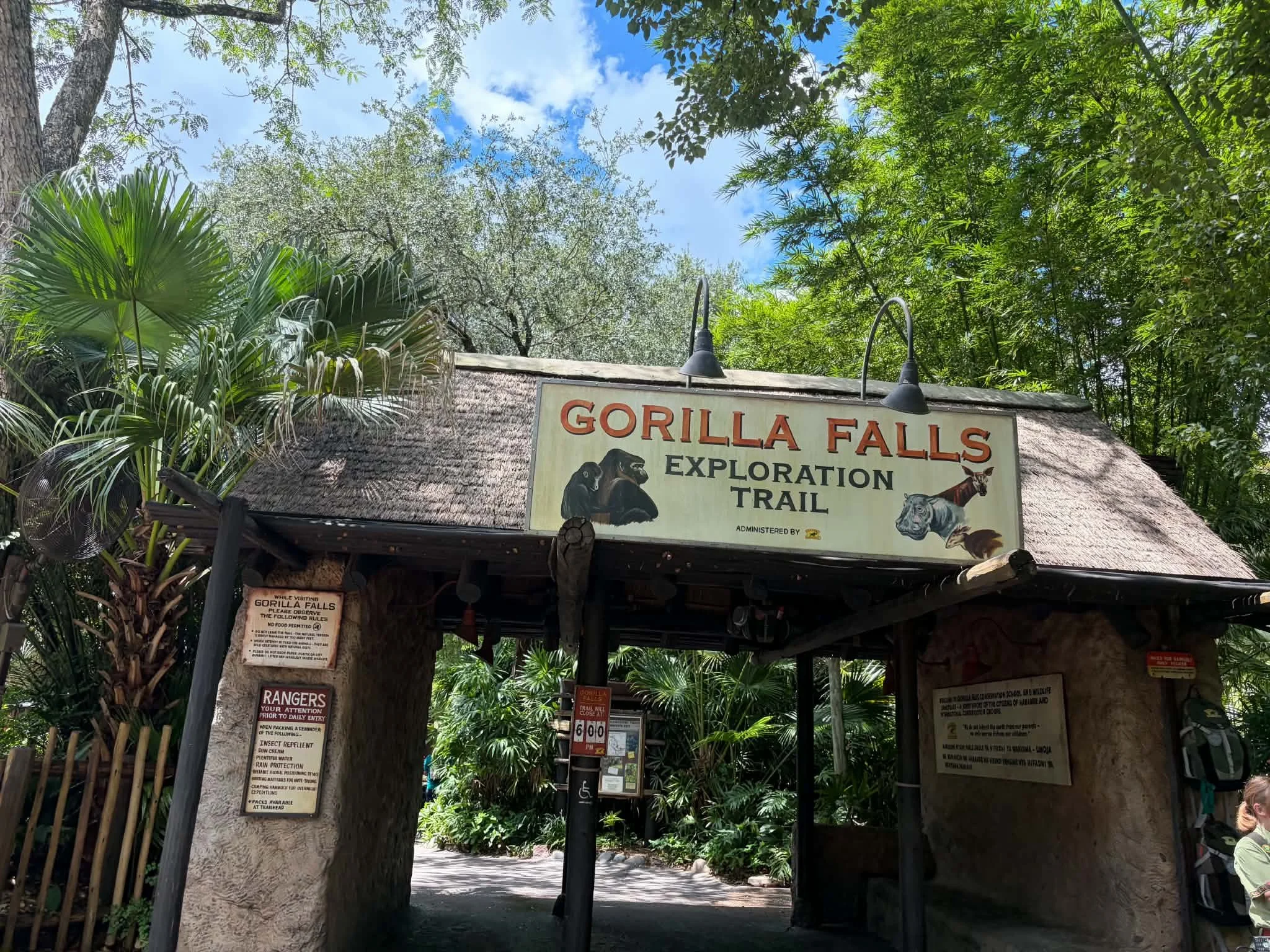 gorilla falls.jpg