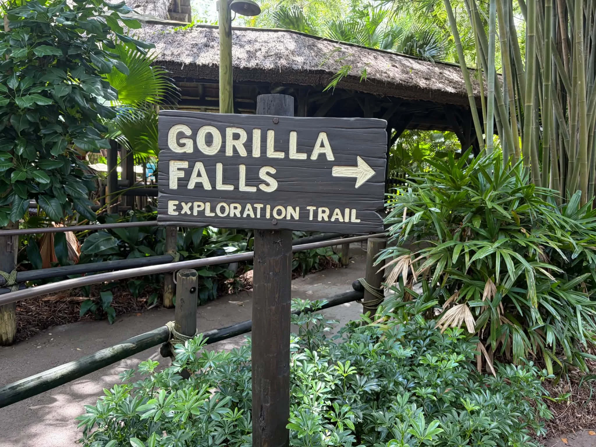 gorilla falls 2.jpg