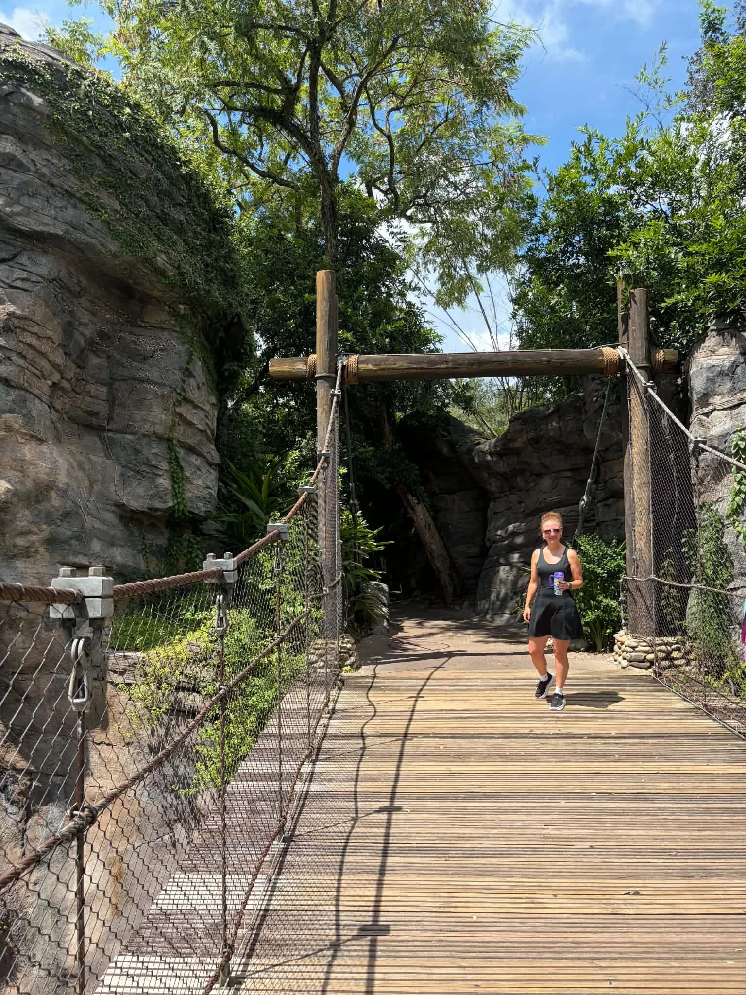 gorilla trail.jpg